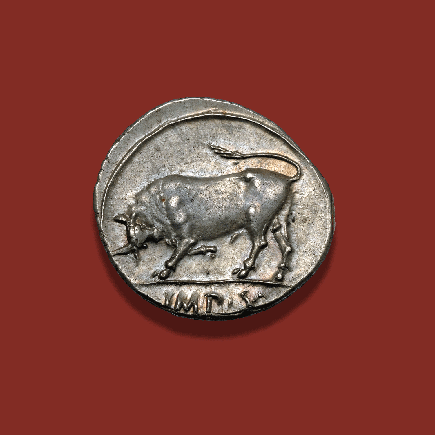 US_1089_reverse.png