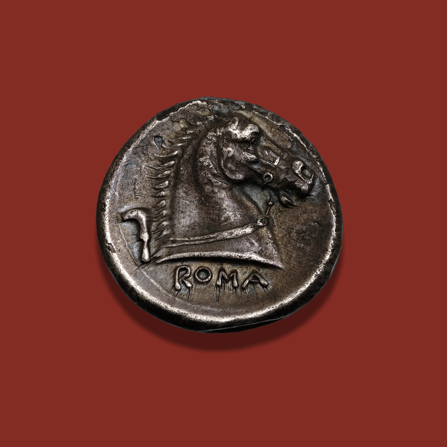 US_1141_reverse.png