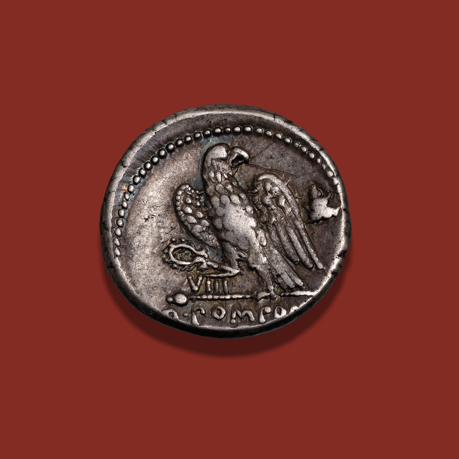 US_1137_reverse.png
