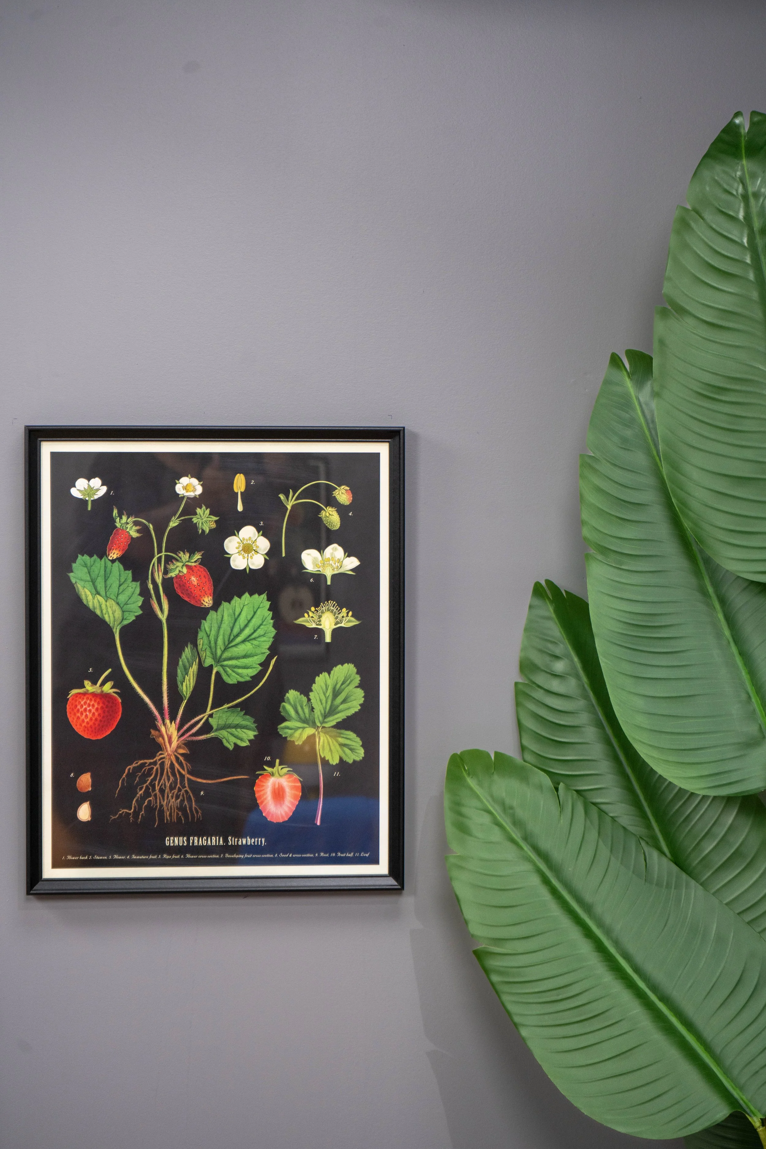 Set decorado para estudio de grabación de podcast y videopodcast profesional en México