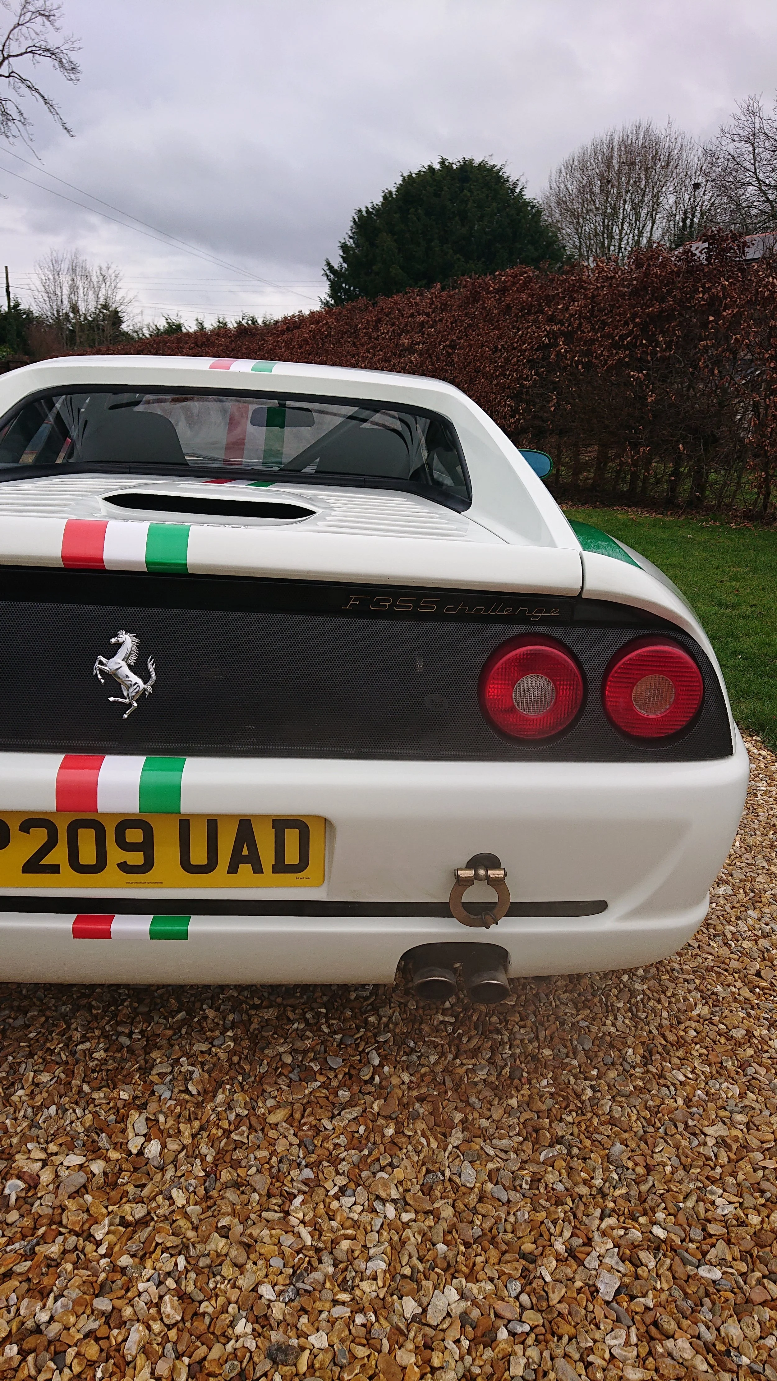 DSC_1569.JPG