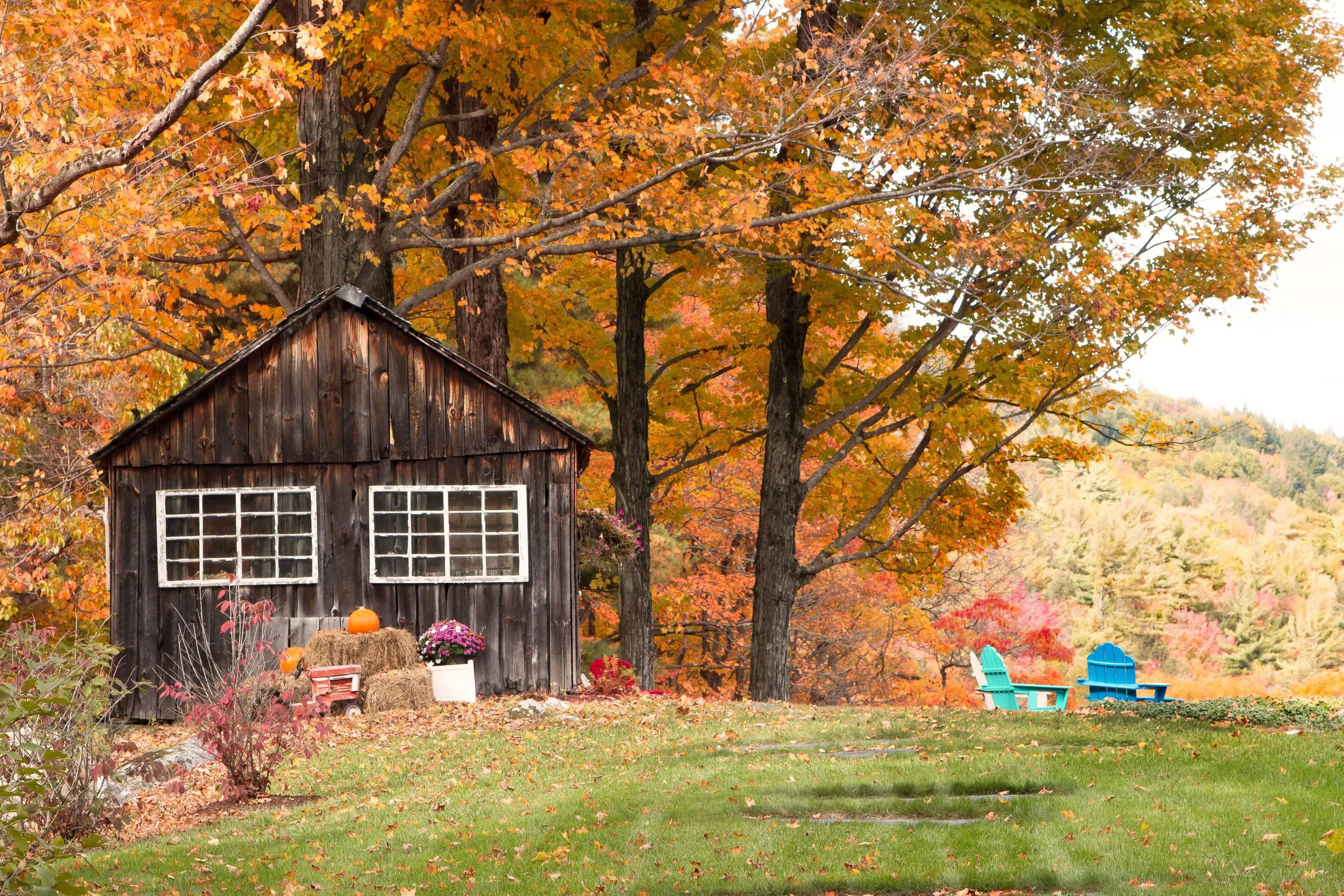 Vermont Woods Studios