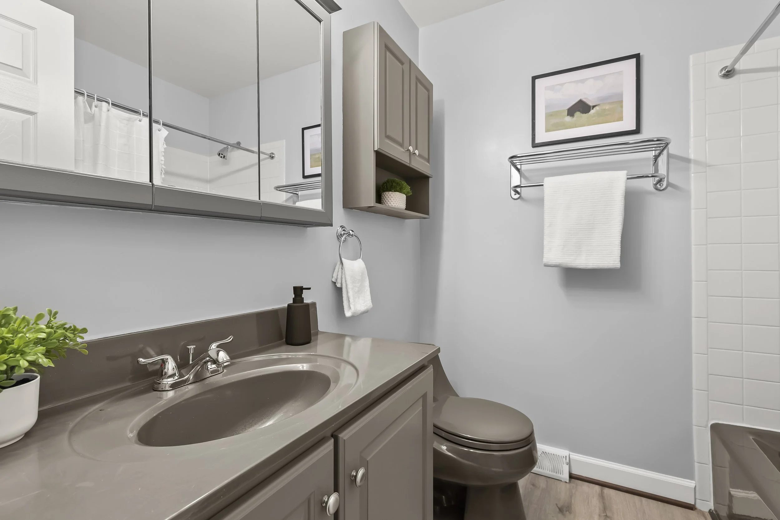 32-Hall Bathroom.jpg