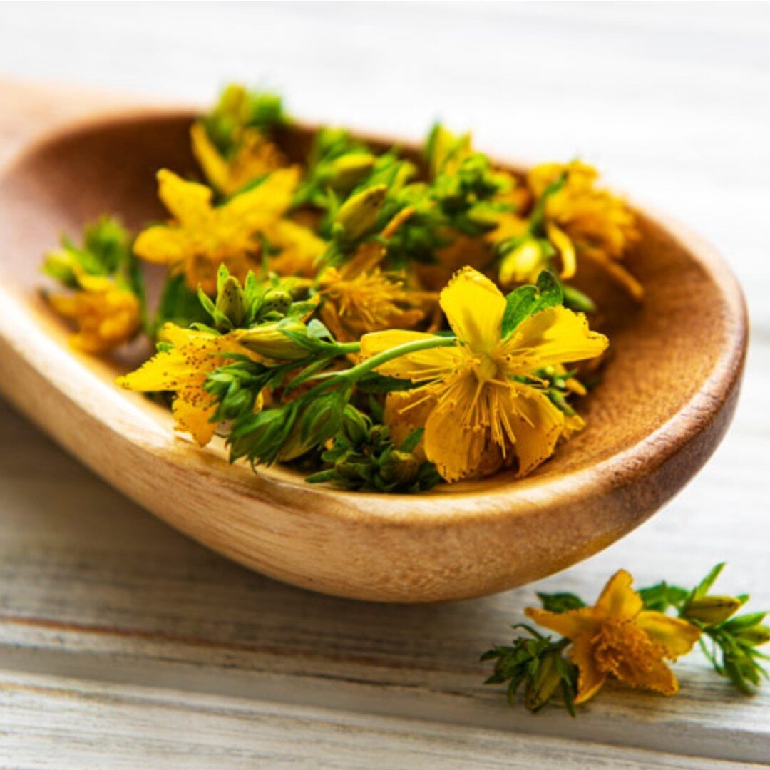 Check out Dr. Mele's article on botanicalmedicine.org about &quot;Constitutional Approaches to Anxiety.&quot;

Find it here: https://www.botanicalmedicine.org/constitutional-herbal-approach-to-anxiety/

#anxiety #treatthegut&nbsp;#treatthecause #guth
