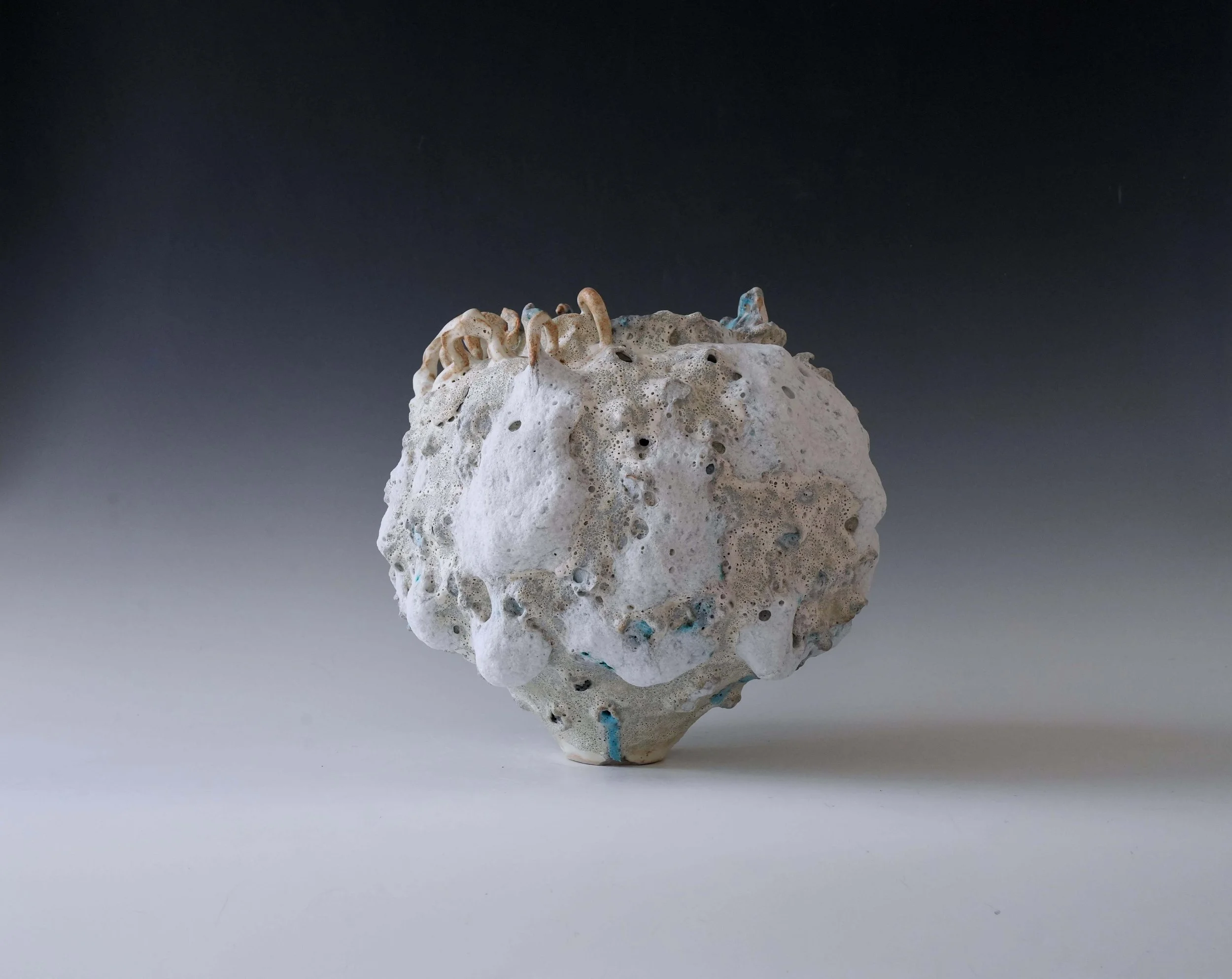 organic ceramic art.jpg