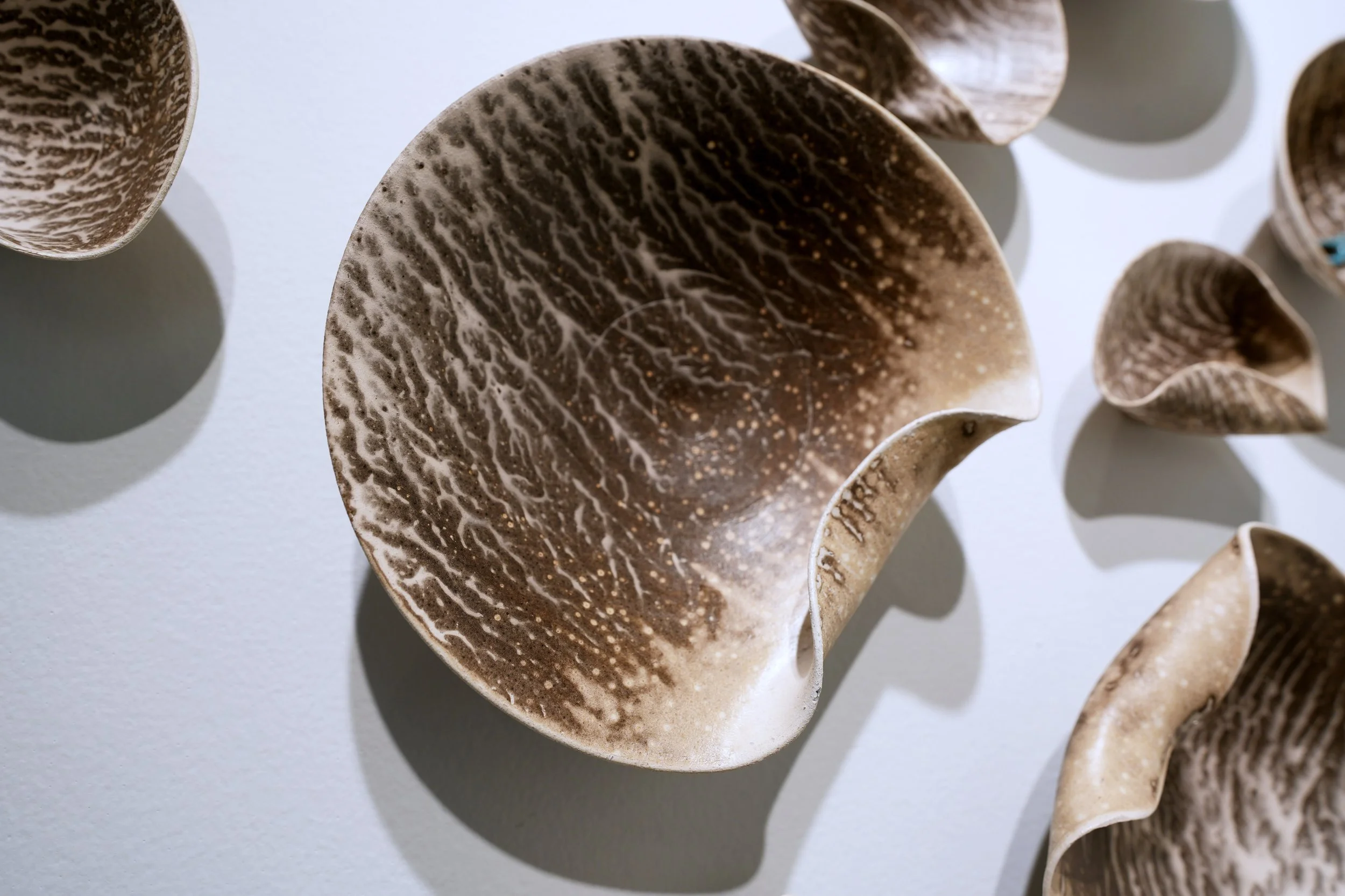 Aged Obvara / Warm Brown