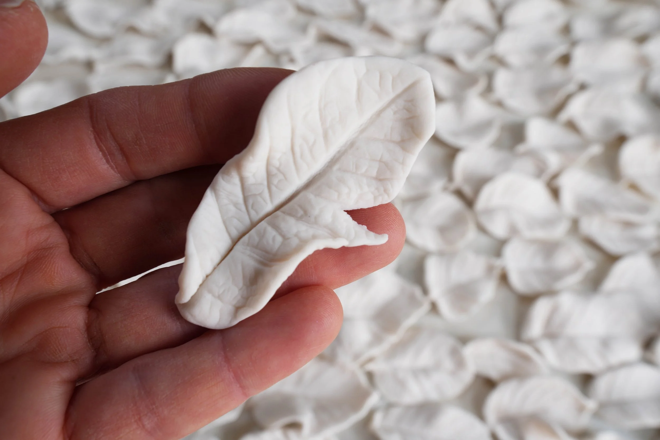 Base Matte White Porcelain