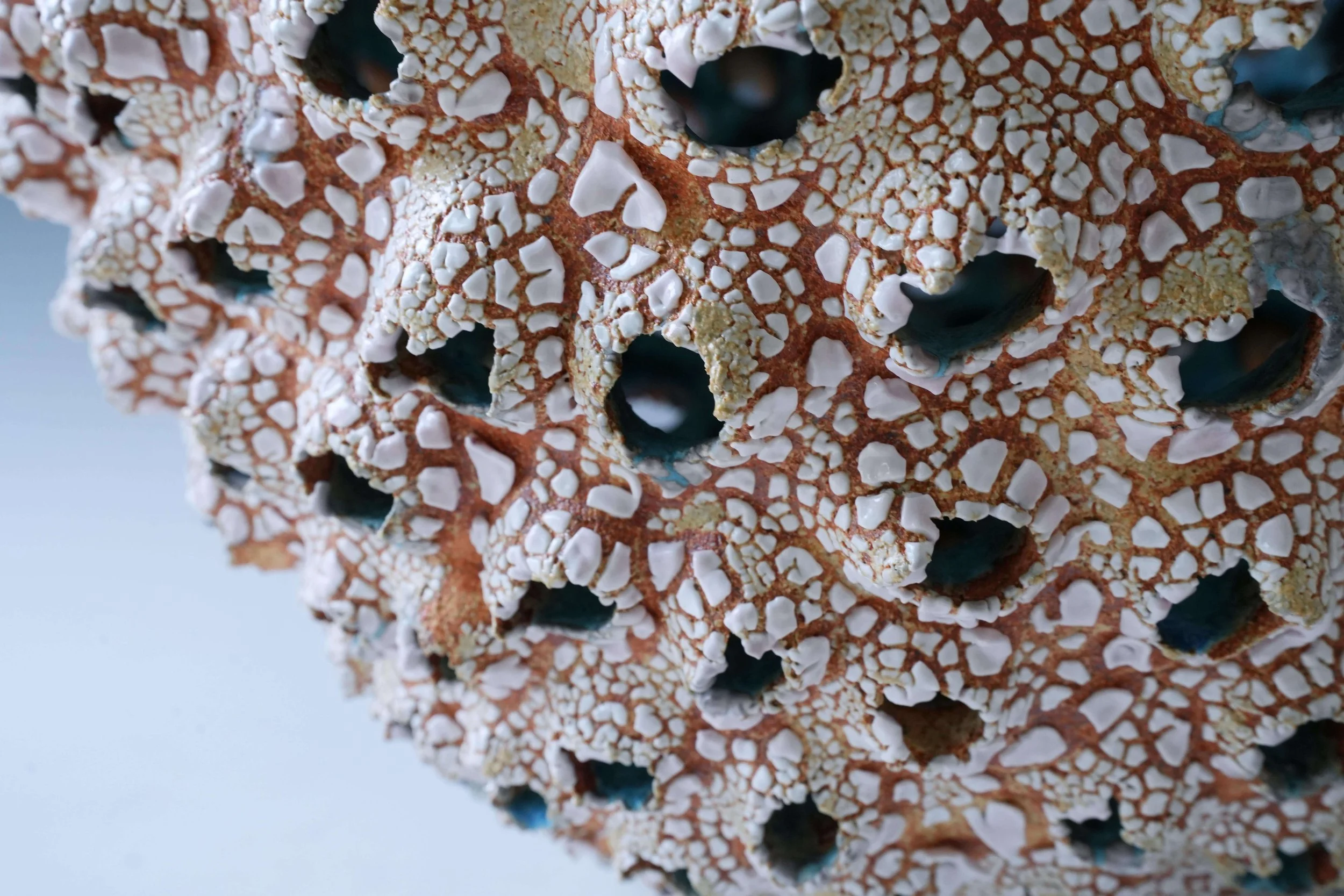 soft neutral palette.jpg