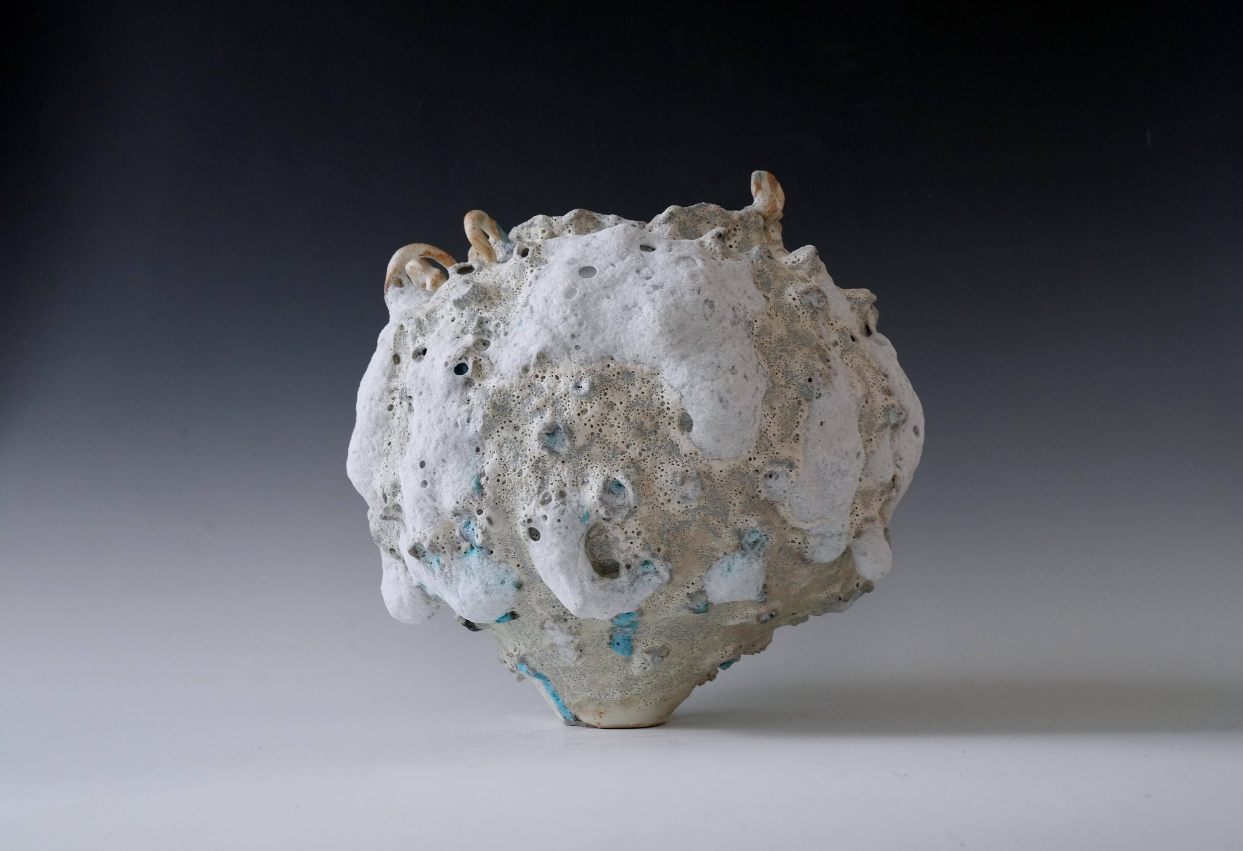 earthy ceramic vase.jpg