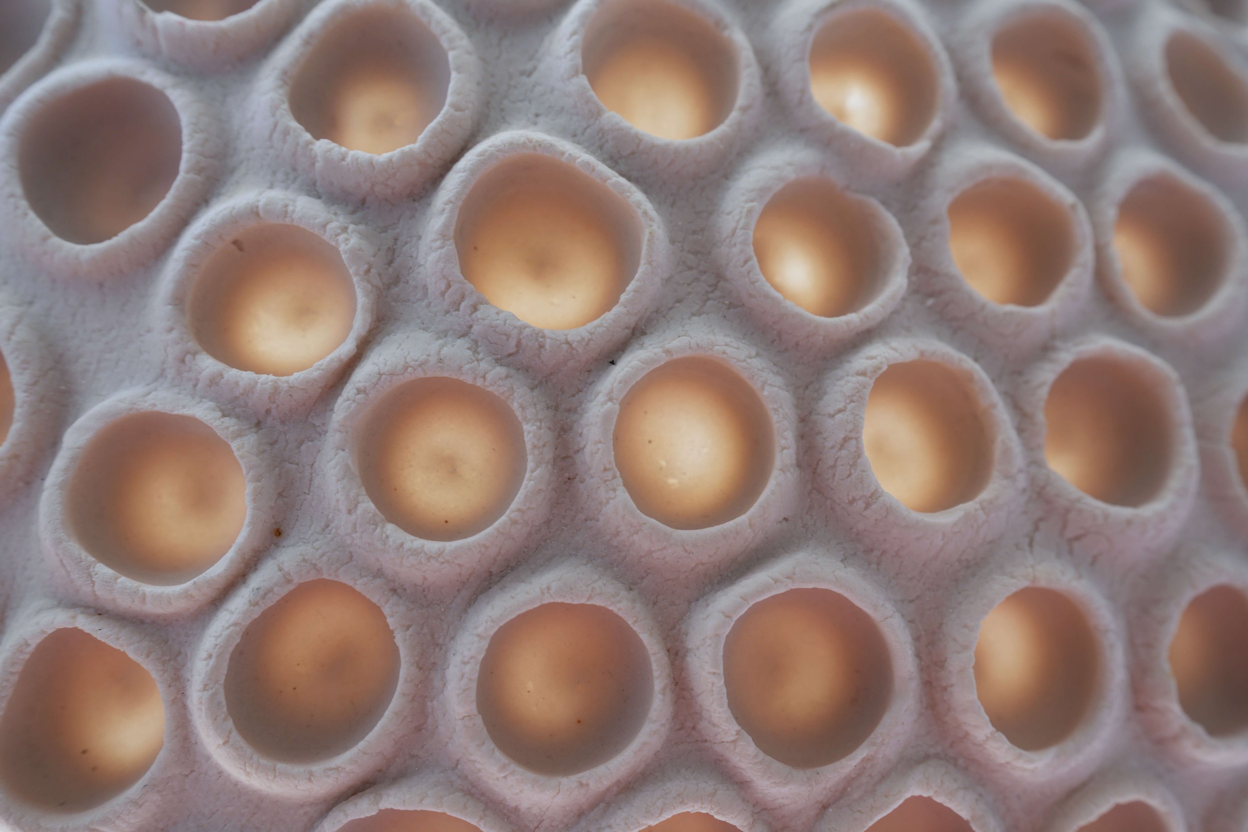 neutral-toned pottery