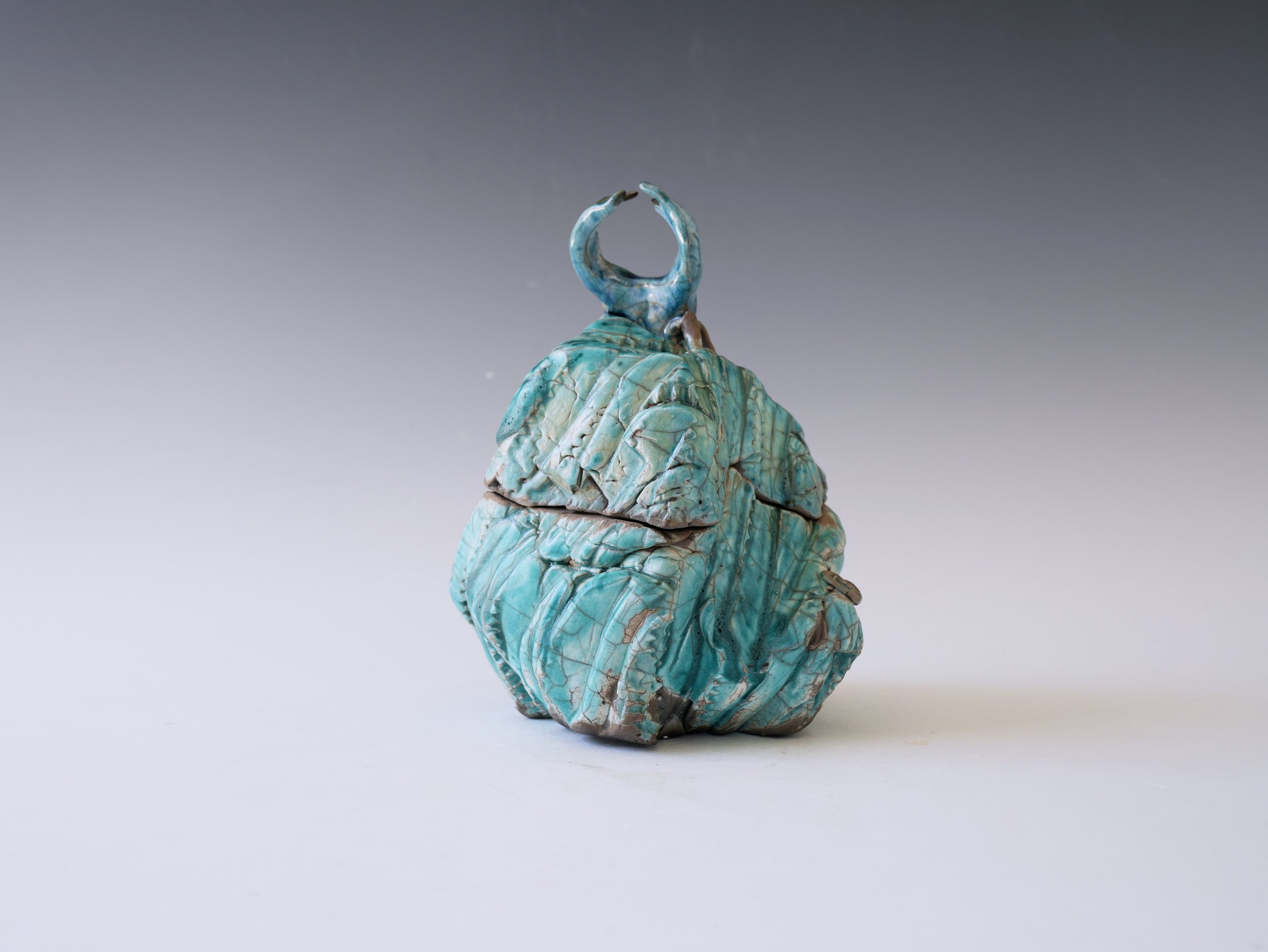 "Frozen in Mosslight” Kuri-Niku Jar, Raku Firing