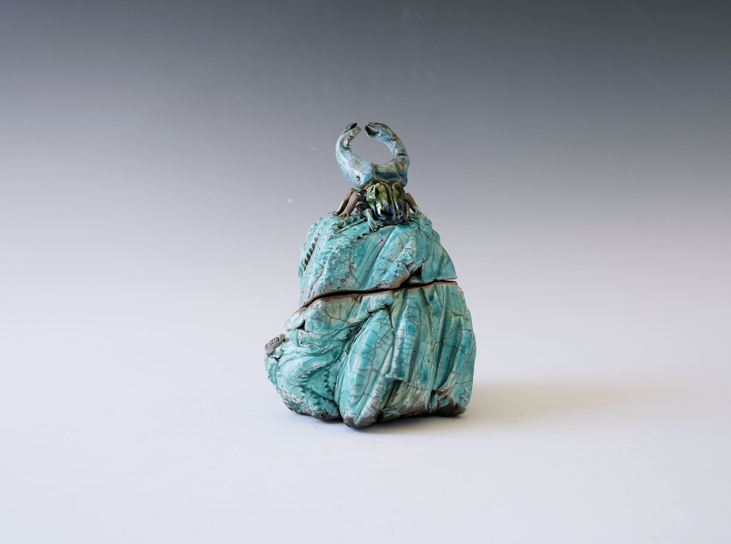 "Frozen in Mosslight” Kuri-Niku Jar, Raku Firing