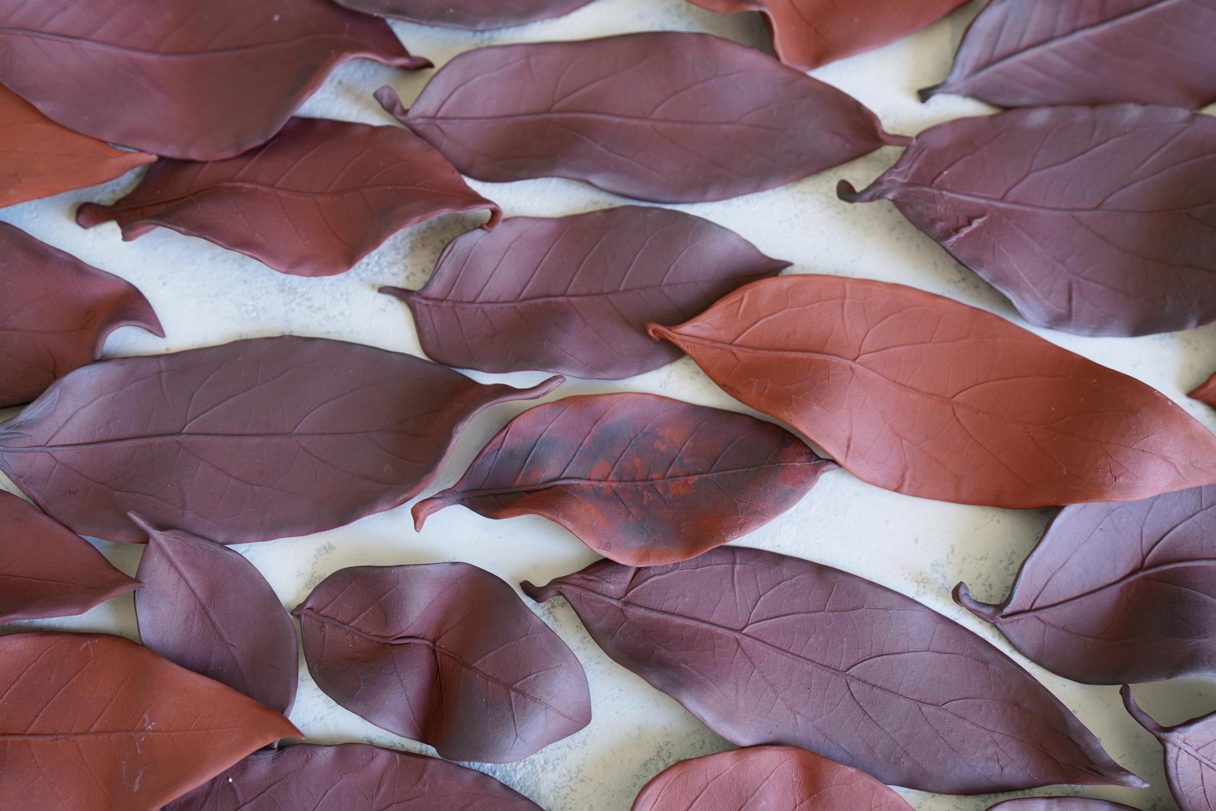 Rusted Terra / Terracotta