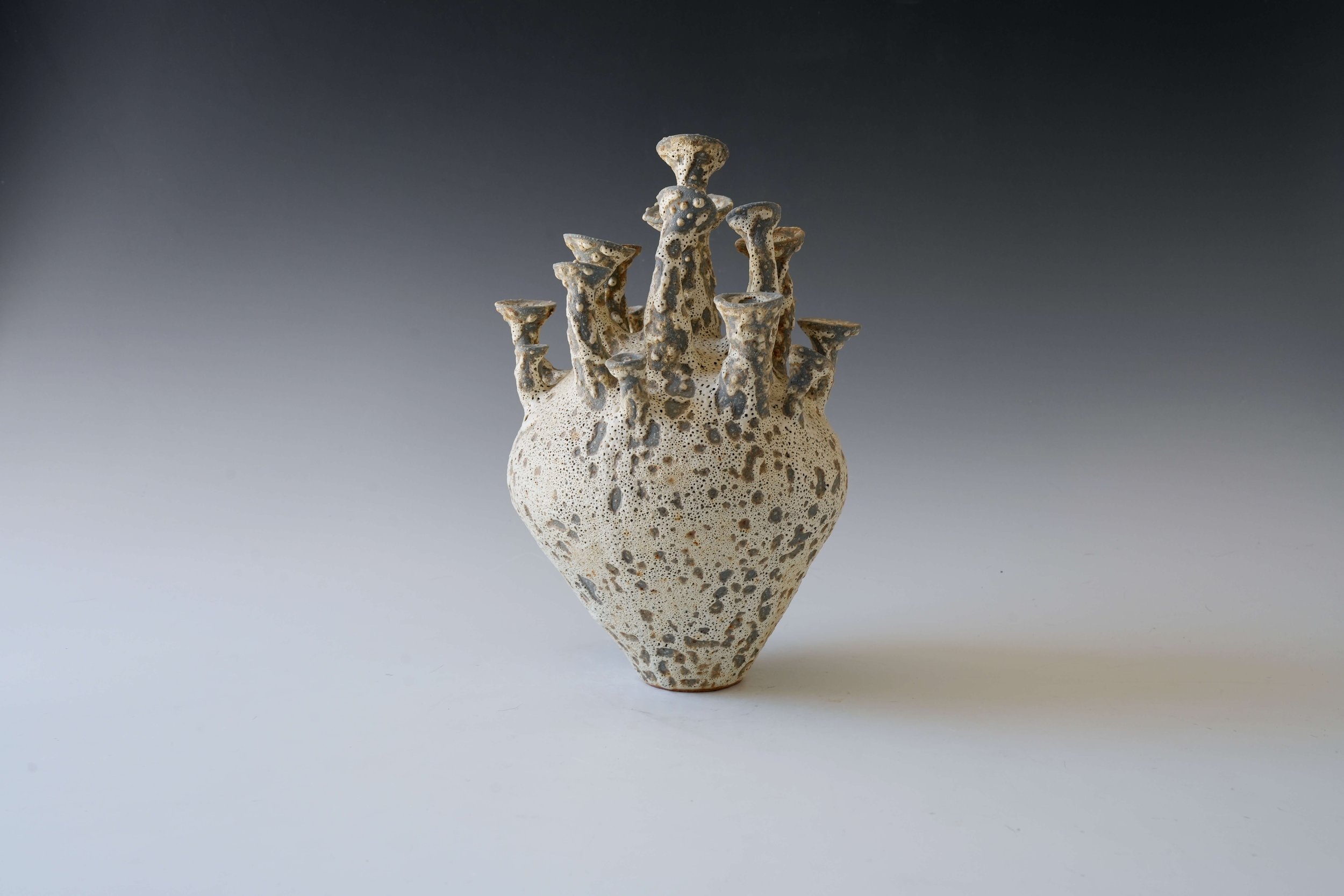 Unique Ceramic Vase