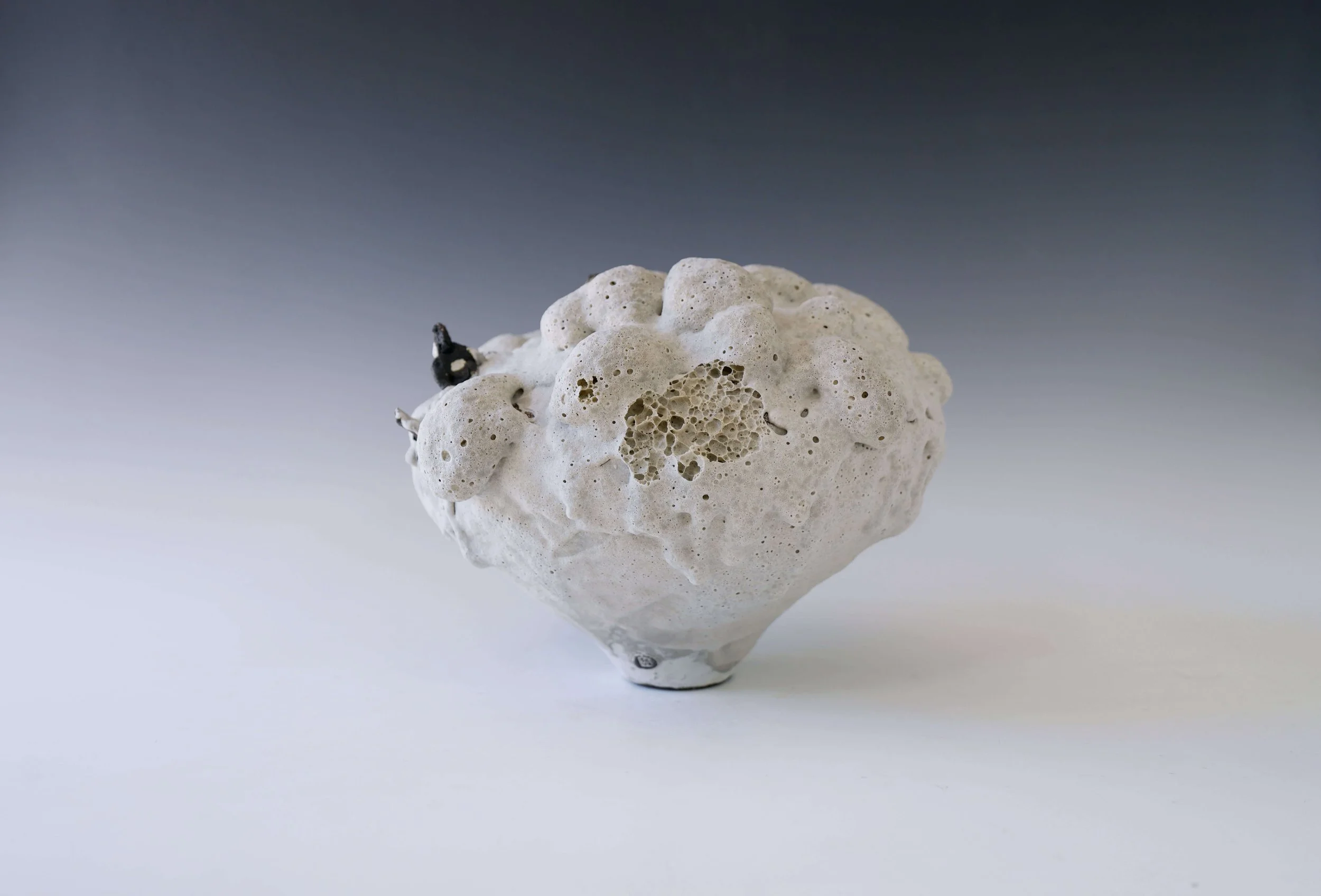 artistic porcelain vase with crater surface design