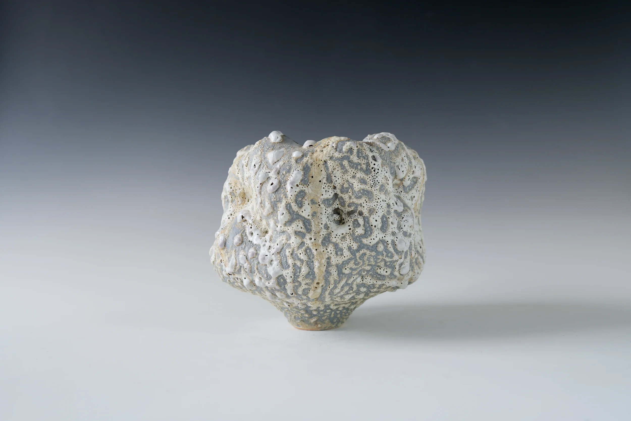 Ceramic Vase "Foam and Earth"