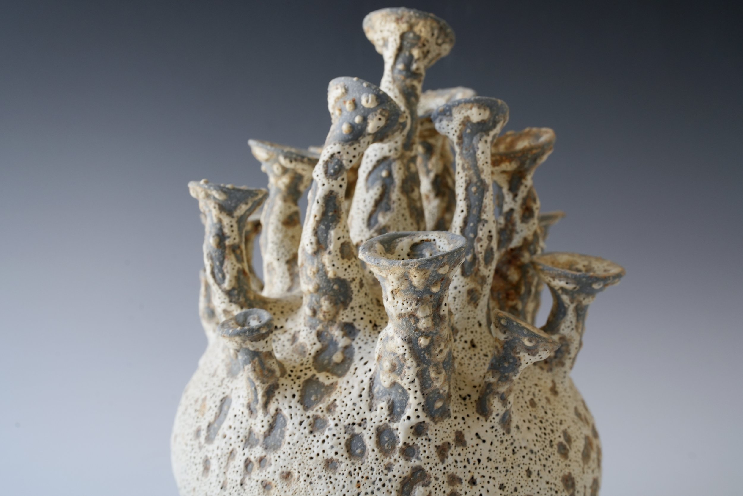 Volcanic Lace Glaze