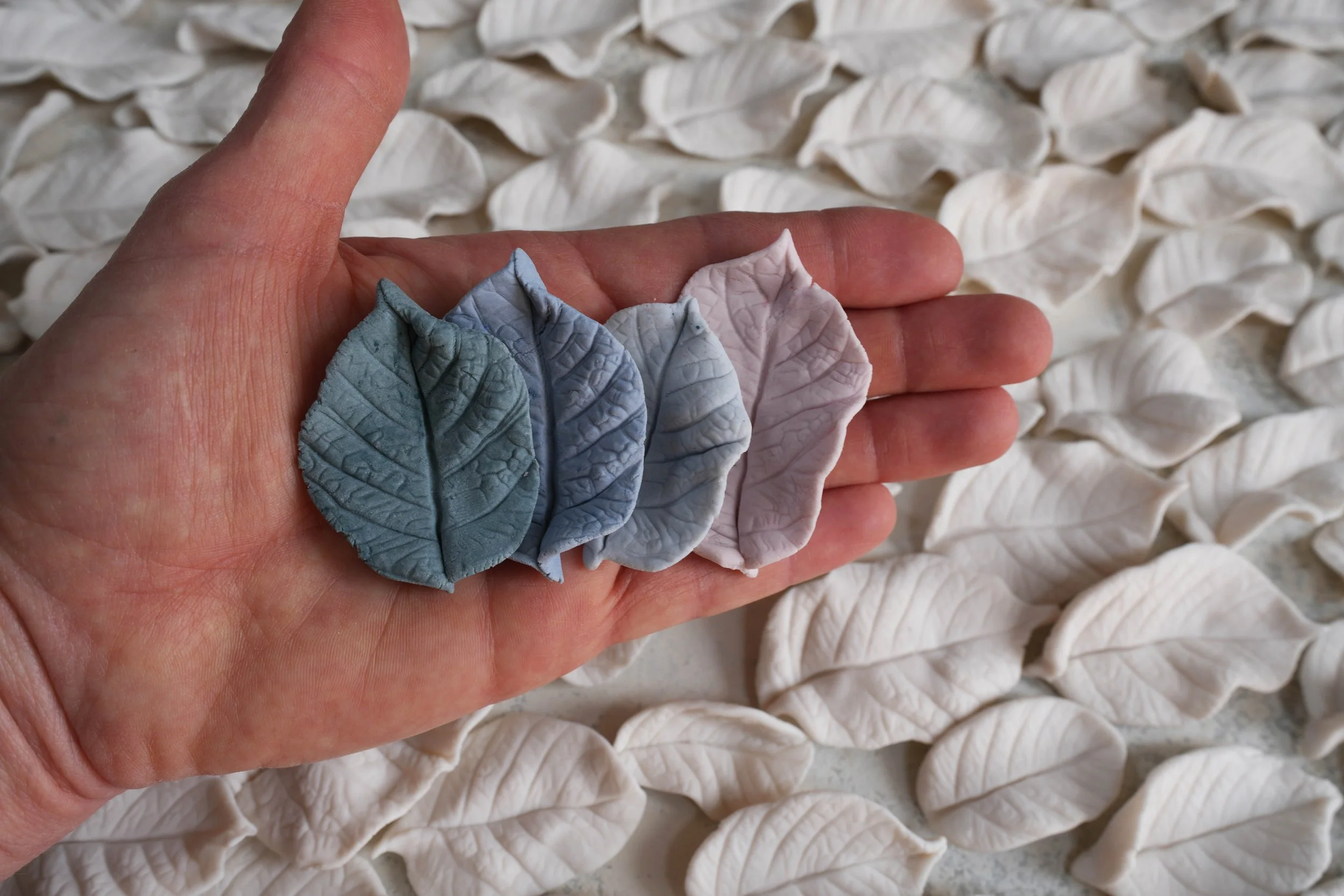 Blueberry Fade Gradient