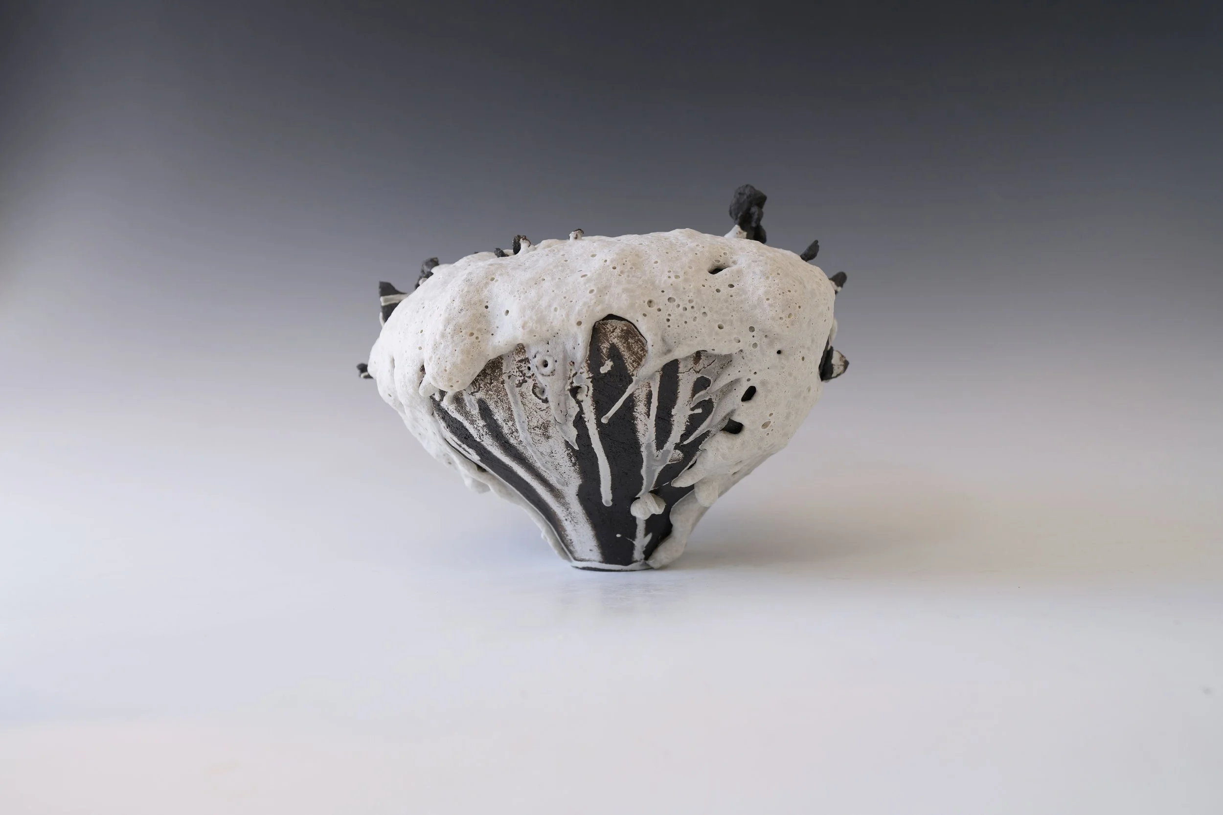 decorative ceramic art vase inspired by nature