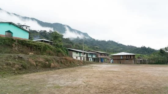Cafe_Imports_Peru_Cajamarca_RS-1-2022-01-03-131922.jpg