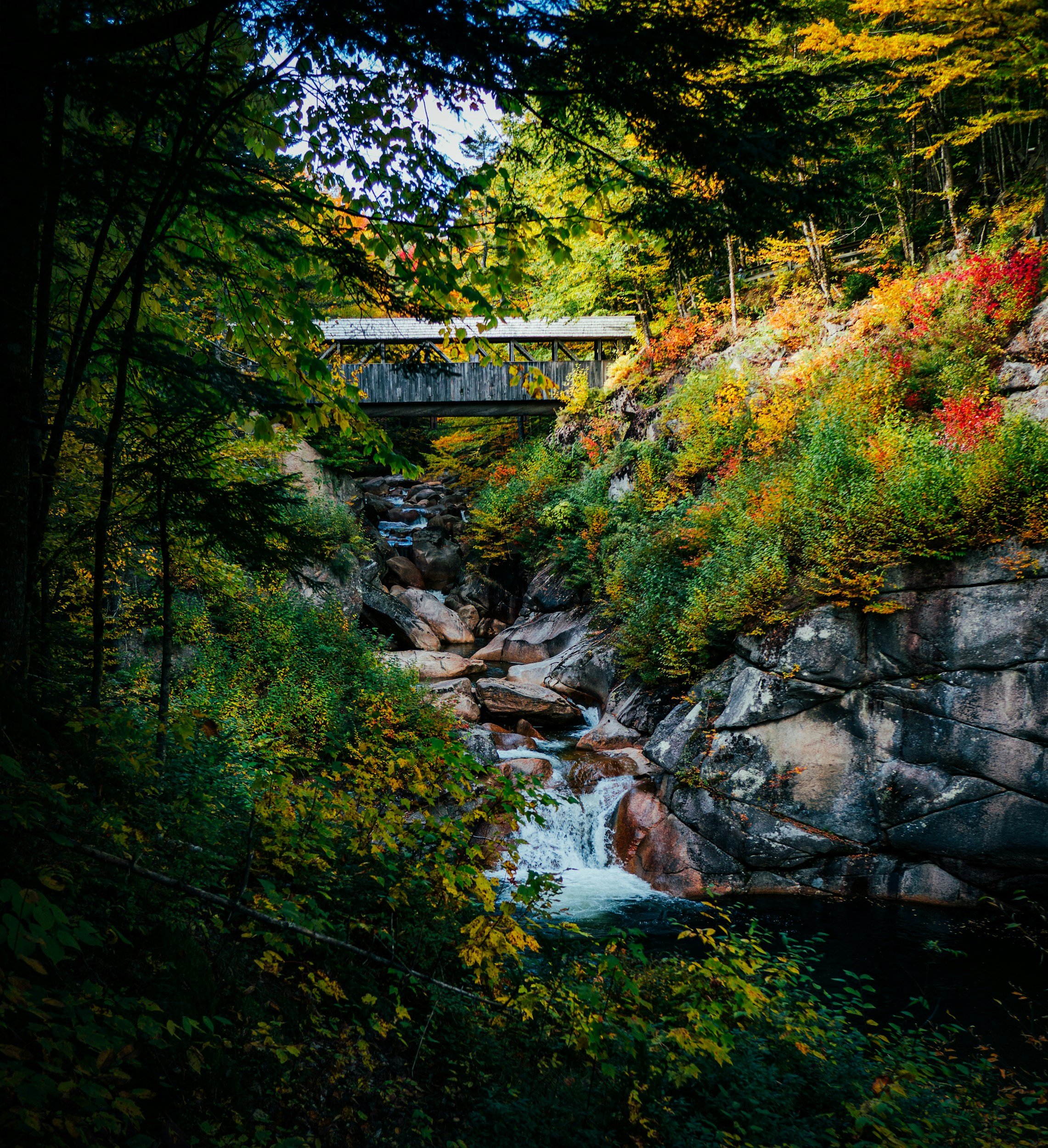 unsplash-image-yv5VUATqgDw.jpg (Copy) (Copy) (Copy) (Copy) (Copy) (Copy) (Copy) (Copy) (Copy) (Copy) (Copy)