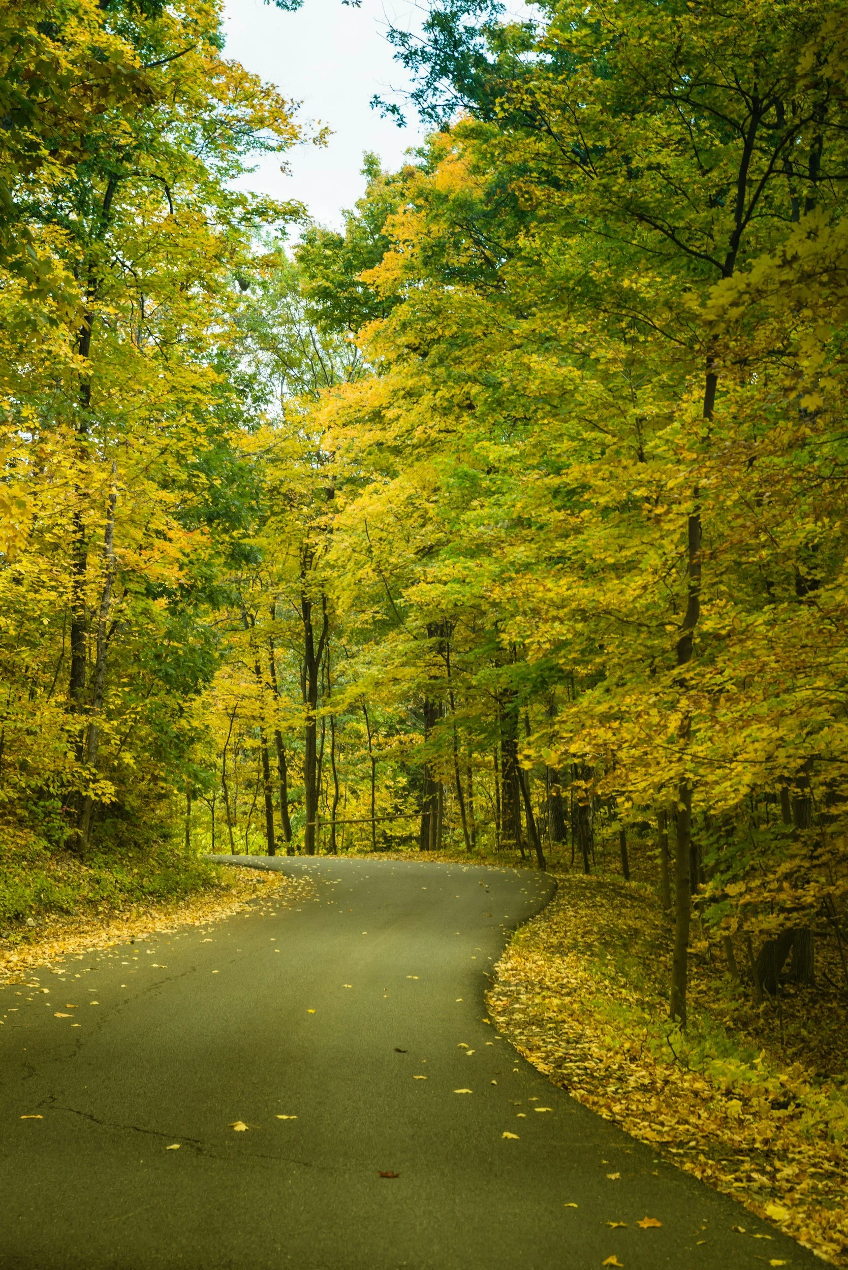 hudson valley property management updates 2025