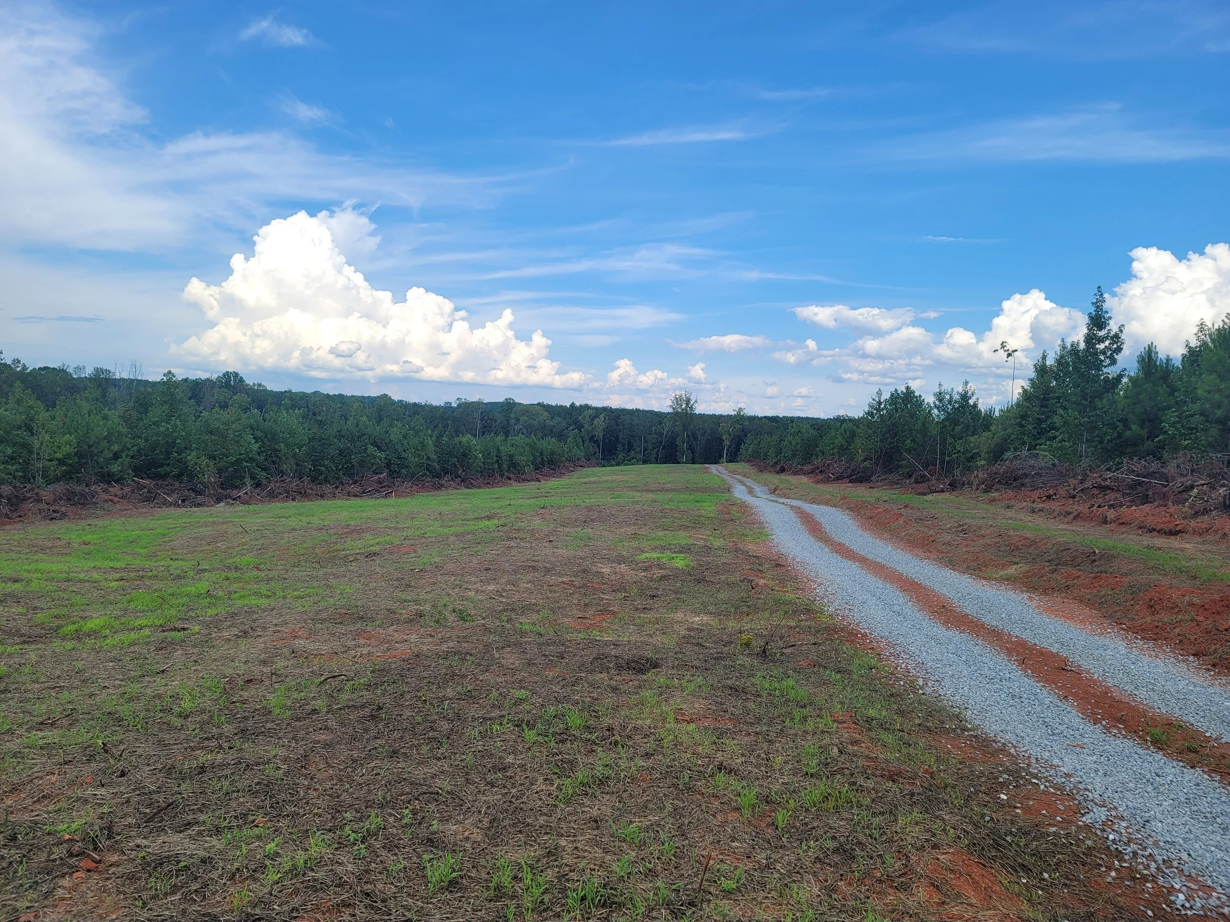 C4-C5 North RdSide.jpg