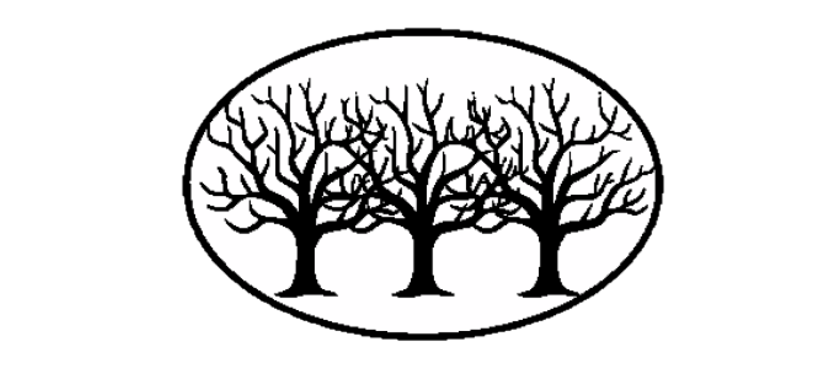 Photos of Individual Tracts — Hamilton Woods LLC