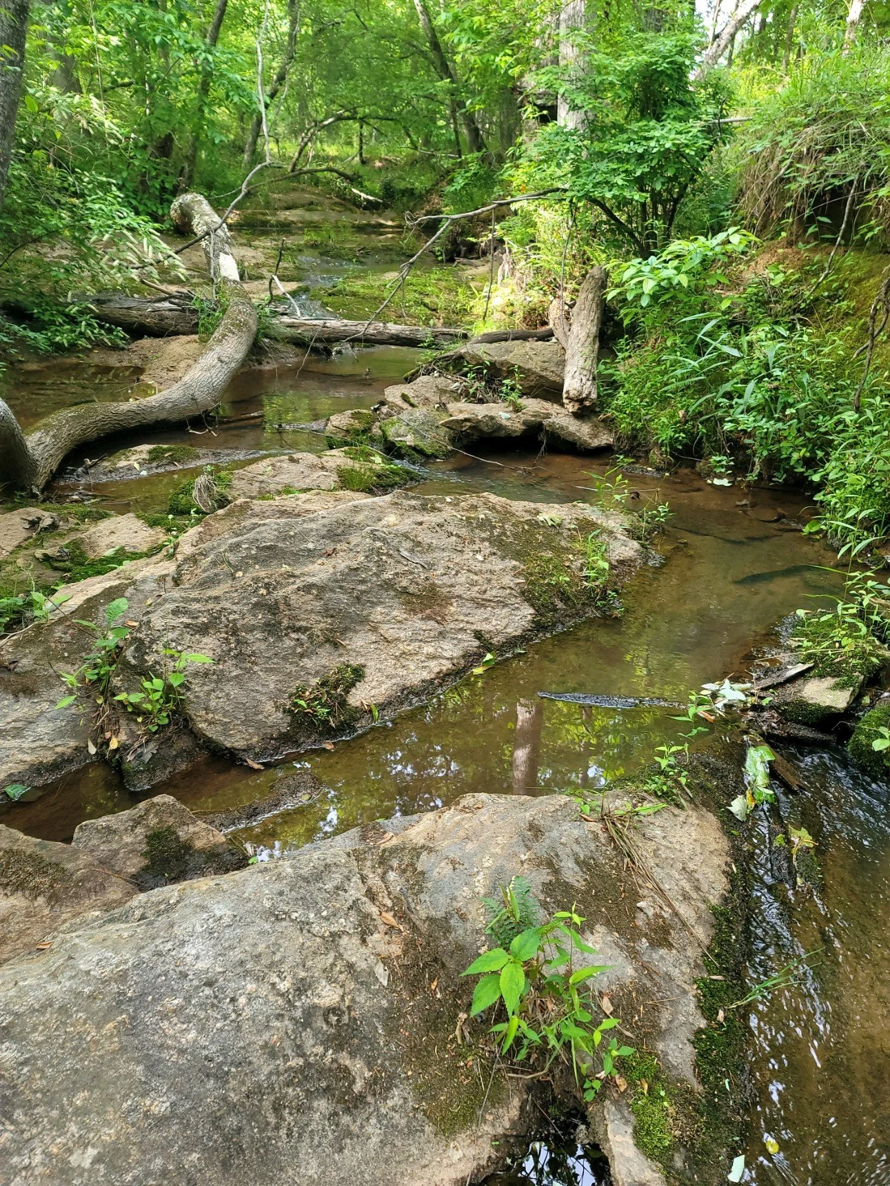 Take a Tour of Beautiful Hamilton Woods in Harris County, Ga. For Sale