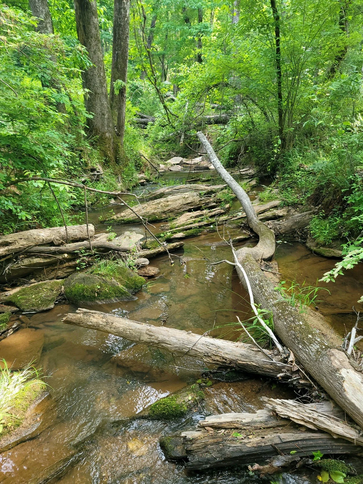 Take a Tour of Beautiful Hamilton Woods in Harris County, Ga. For Sale