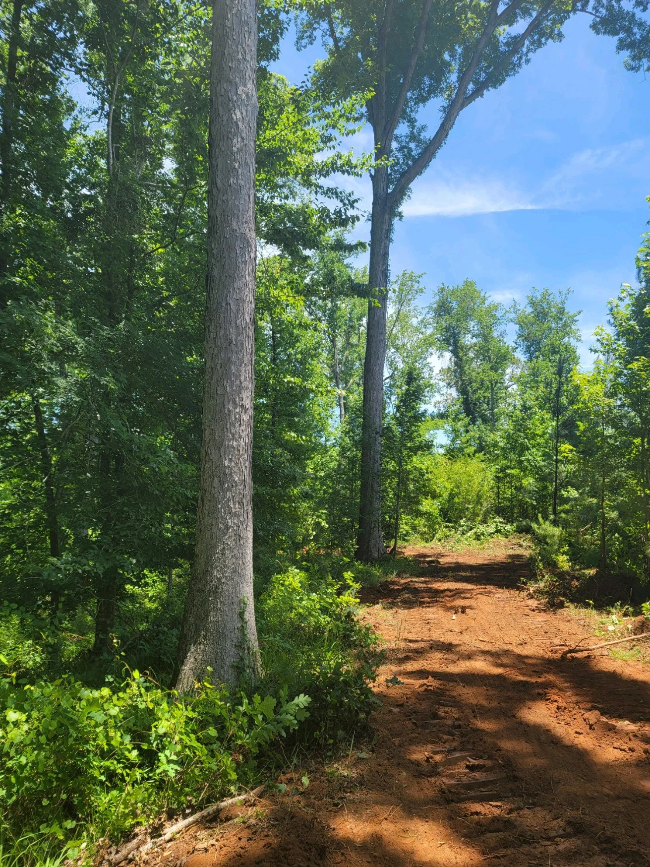 Take a Tour of Beautiful Hamilton Woods in Harris County, Ga. For Sale