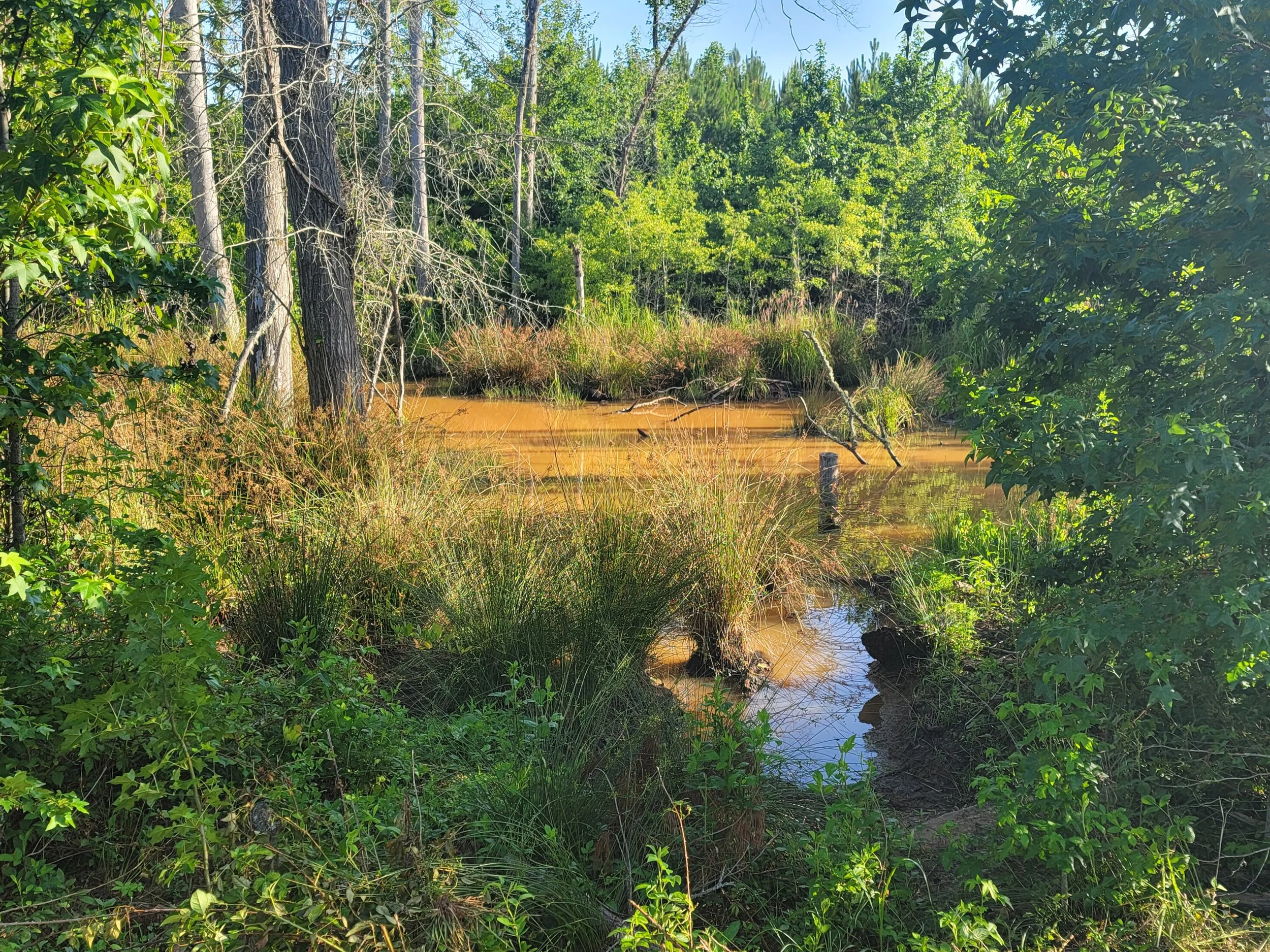 Take a Tour of Beautiful Hamilton Woods in Harris County, Ga. For Sale