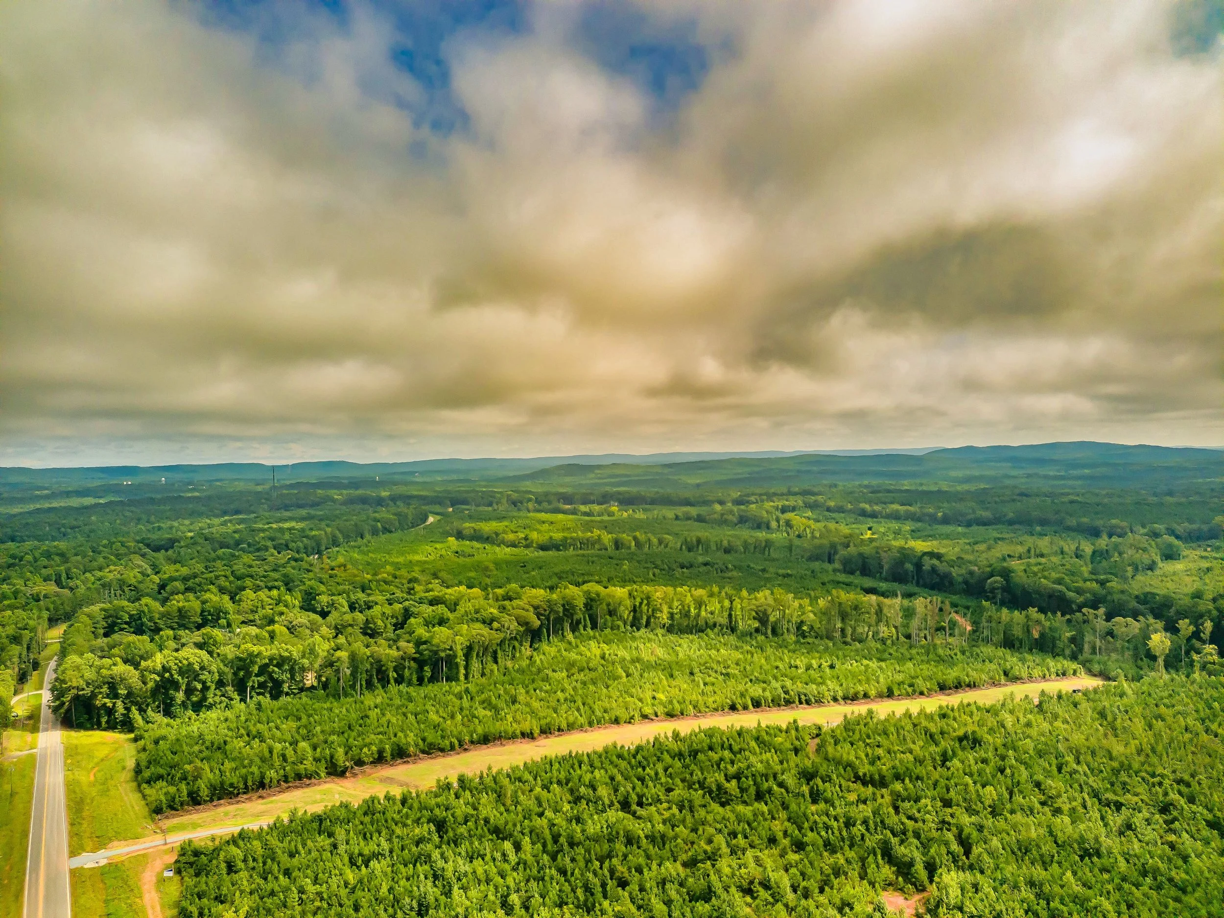 Take a Tour of Beautiful Hamilton Woods in Harris County, Ga. For Sale