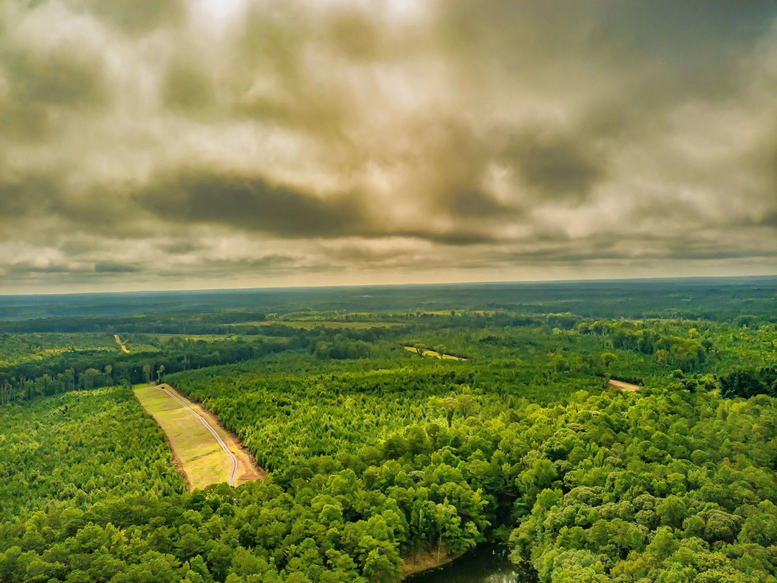 Take a Tour of Beautiful Hamilton Woods in Harris County, Ga. For Sale