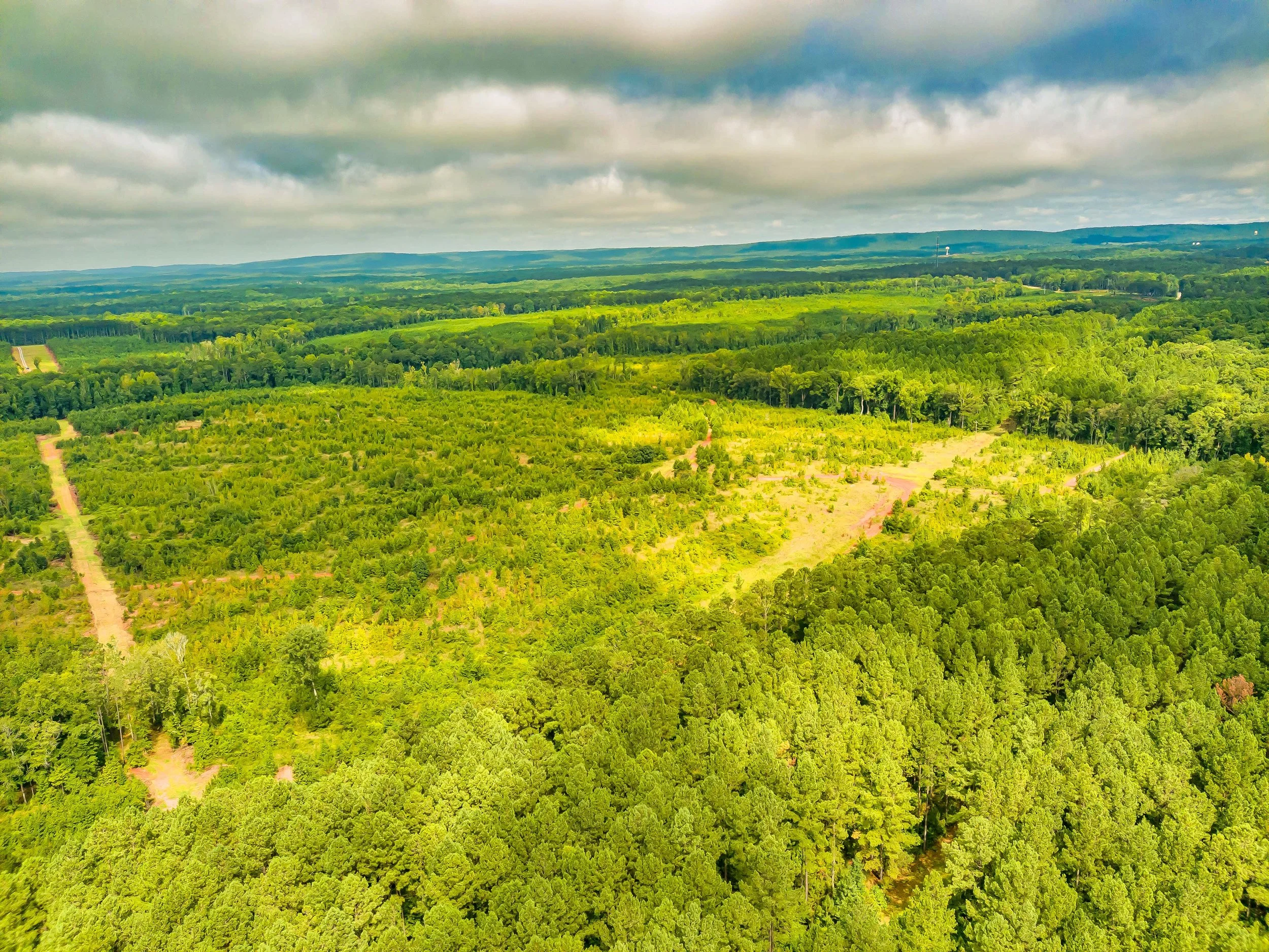 Take a Tour of Beautiful Hamilton Woods in Harris County, Ga. For Sale