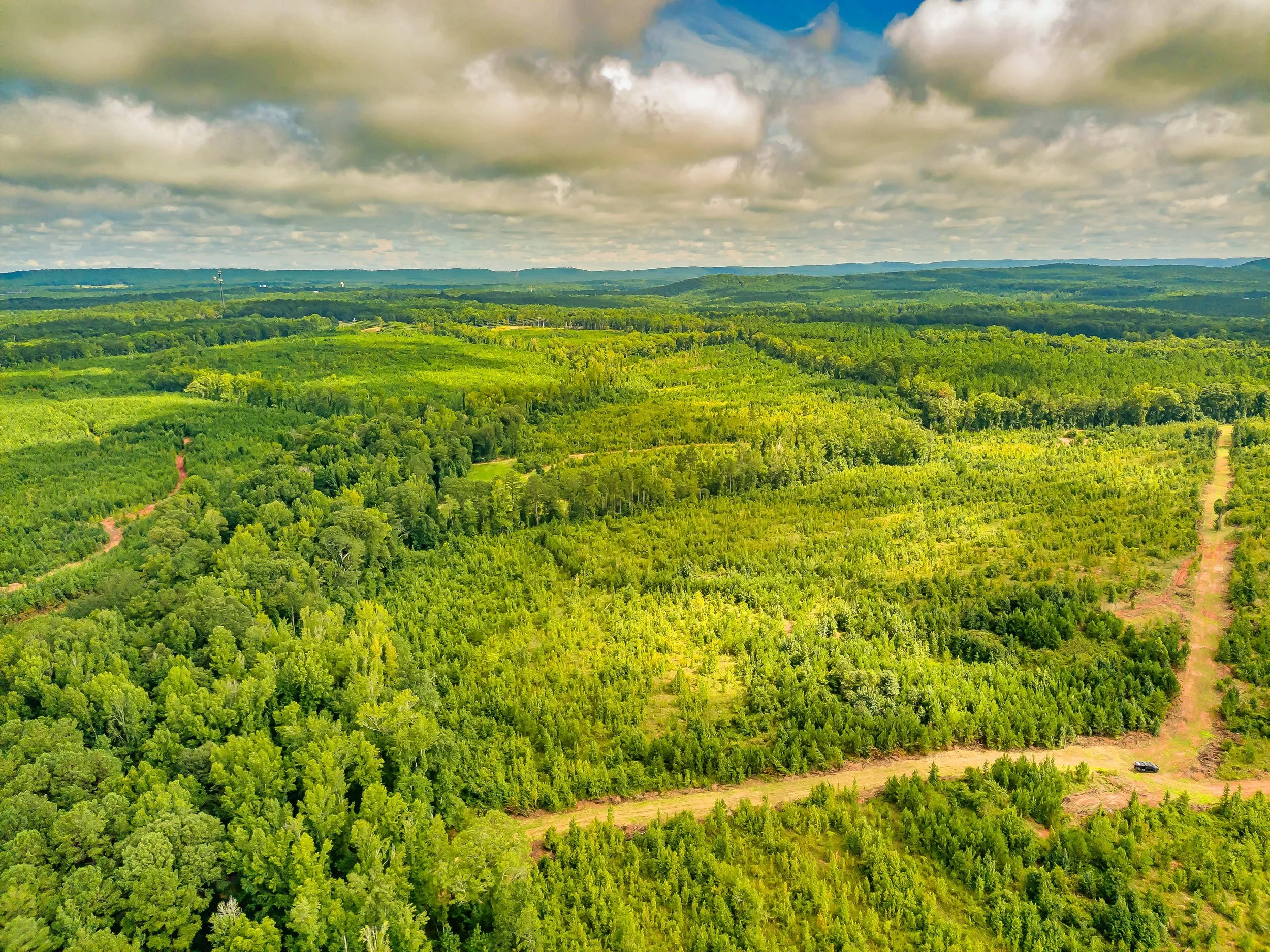 Take a Tour of Beautiful Hamilton Woods in Harris County, Ga. For Sale