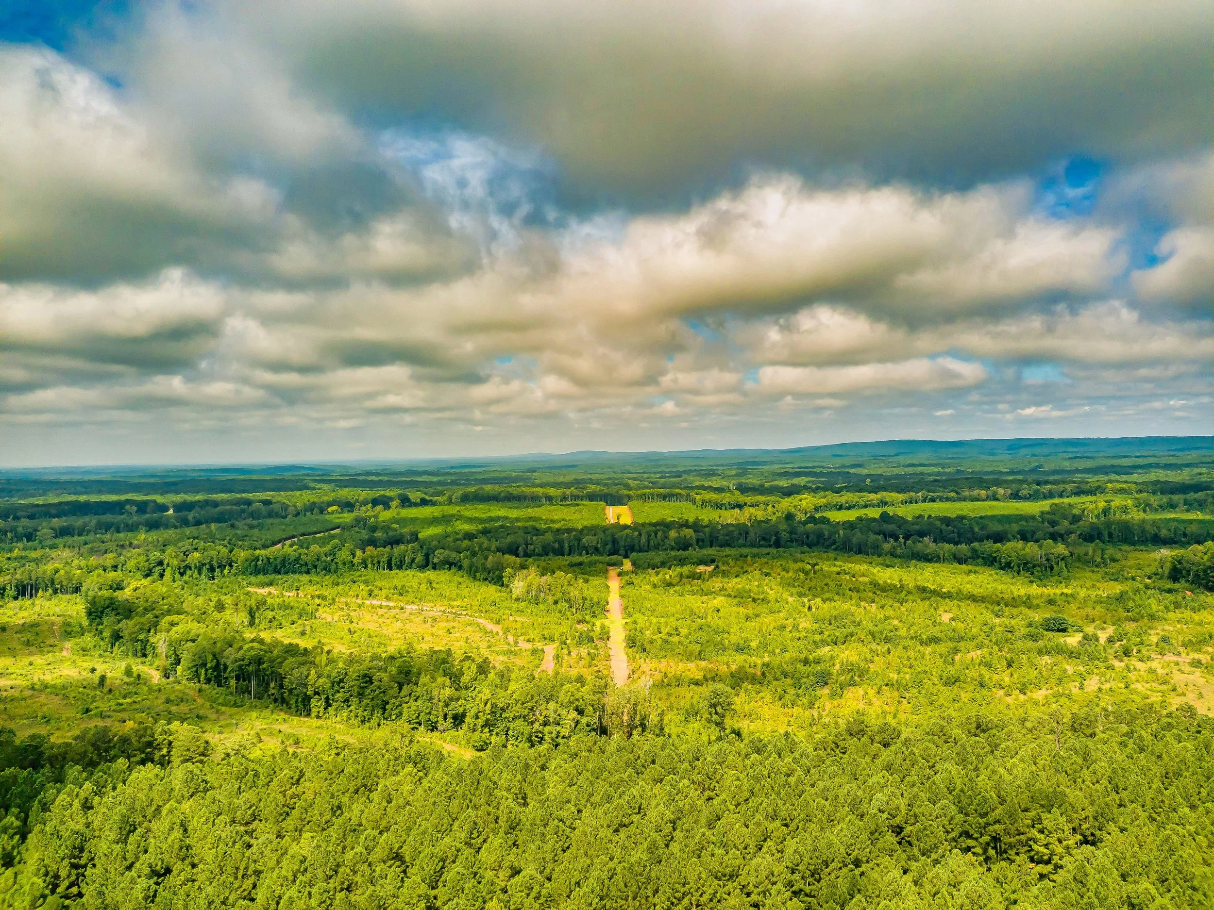 Take a Tour of Beautiful Hamilton Woods in Harris County, Ga. For Sale