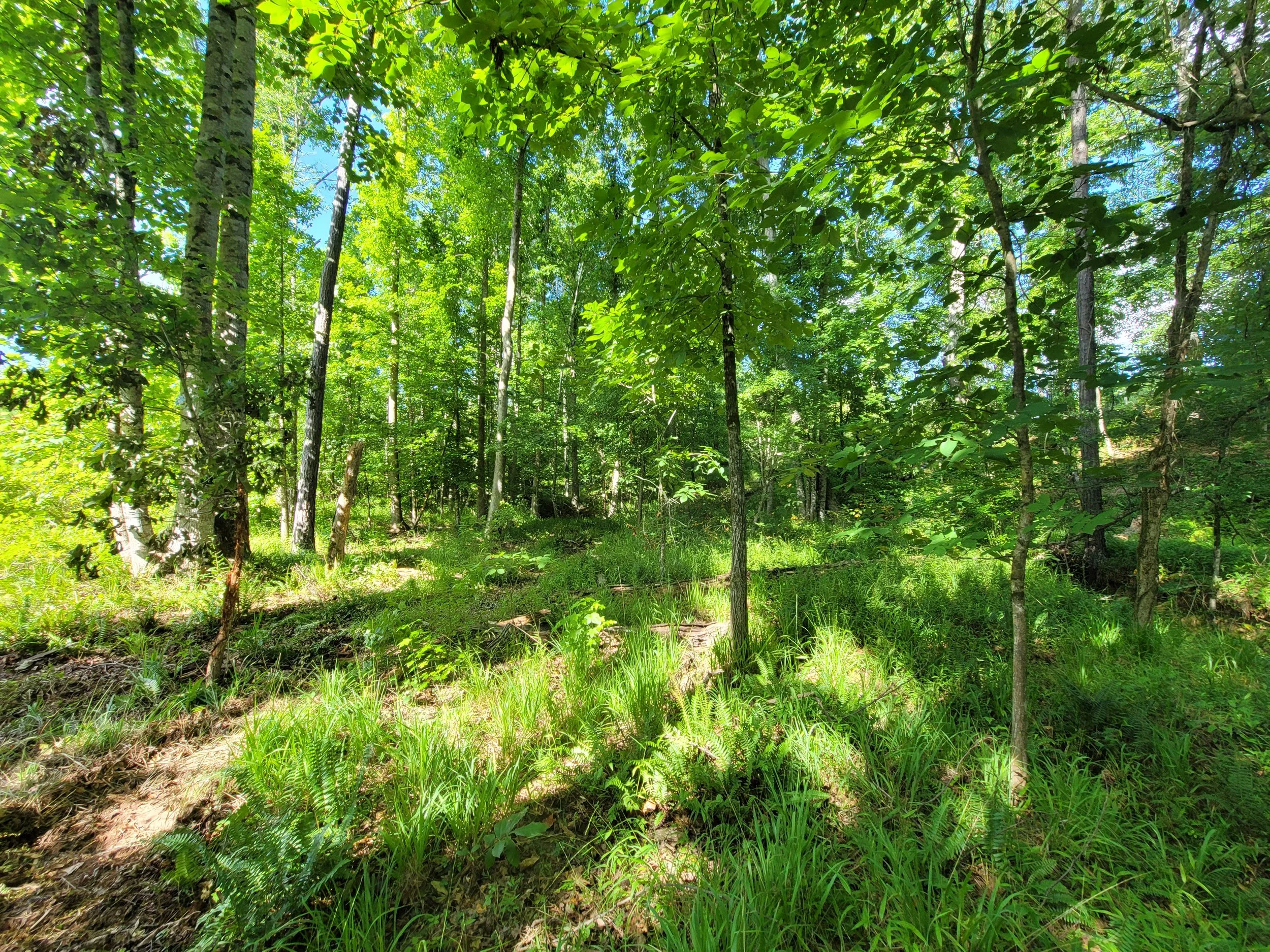 c3 bottom crossing.jpg