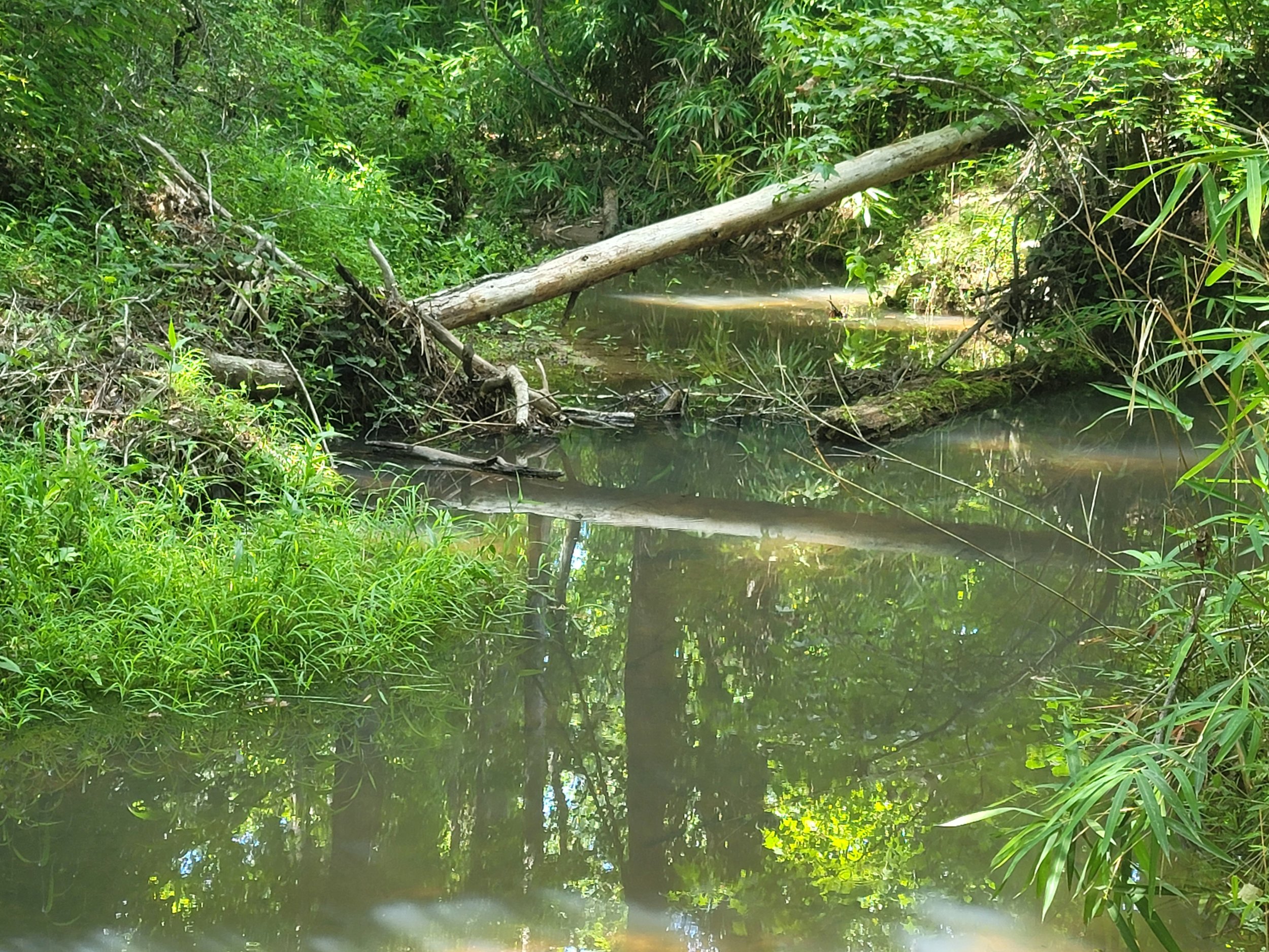 c6 creek crossing.jpg