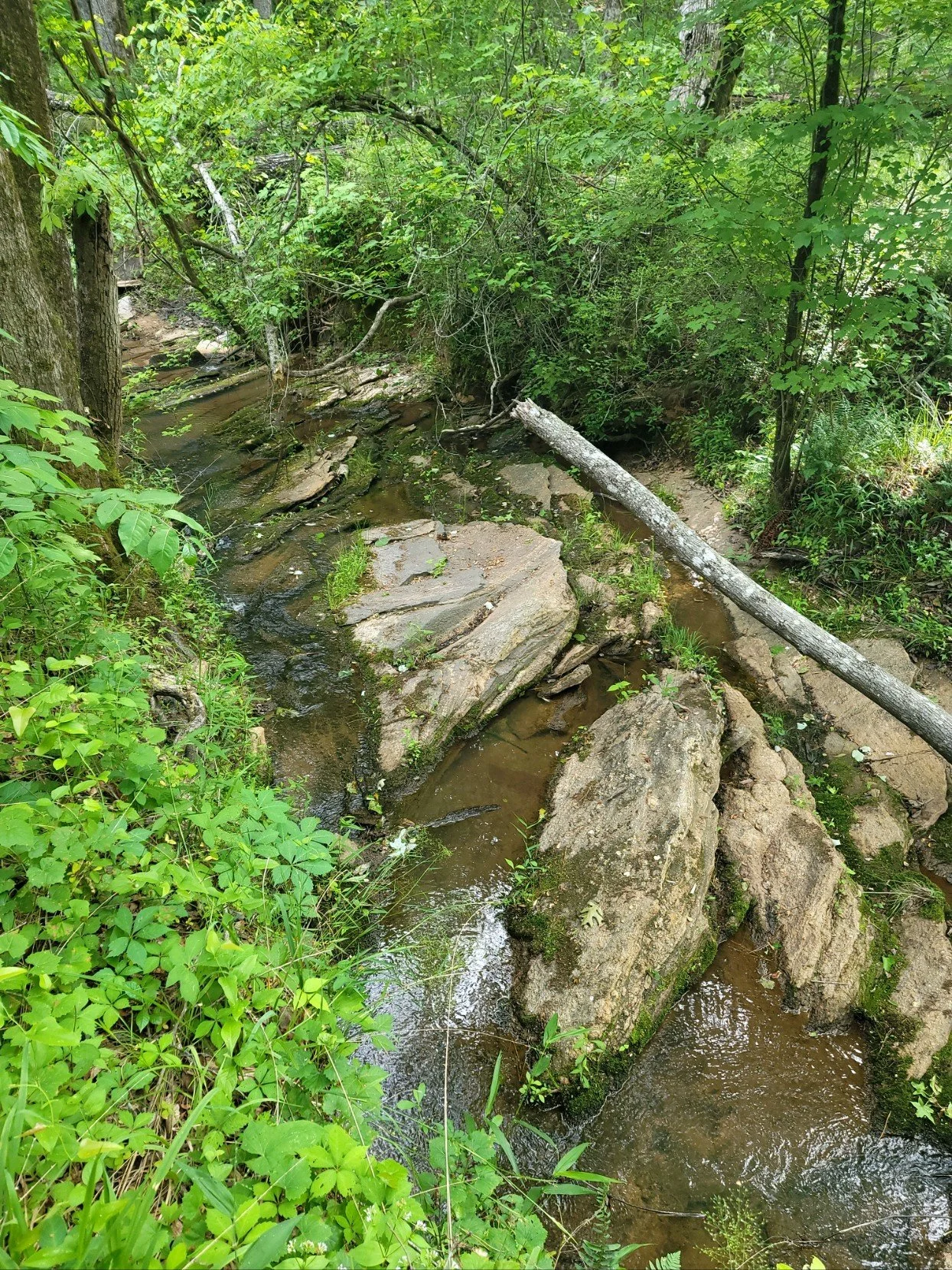 Take a Tour of Beautiful Hamilton Woods in Harris County, Ga. For Sale