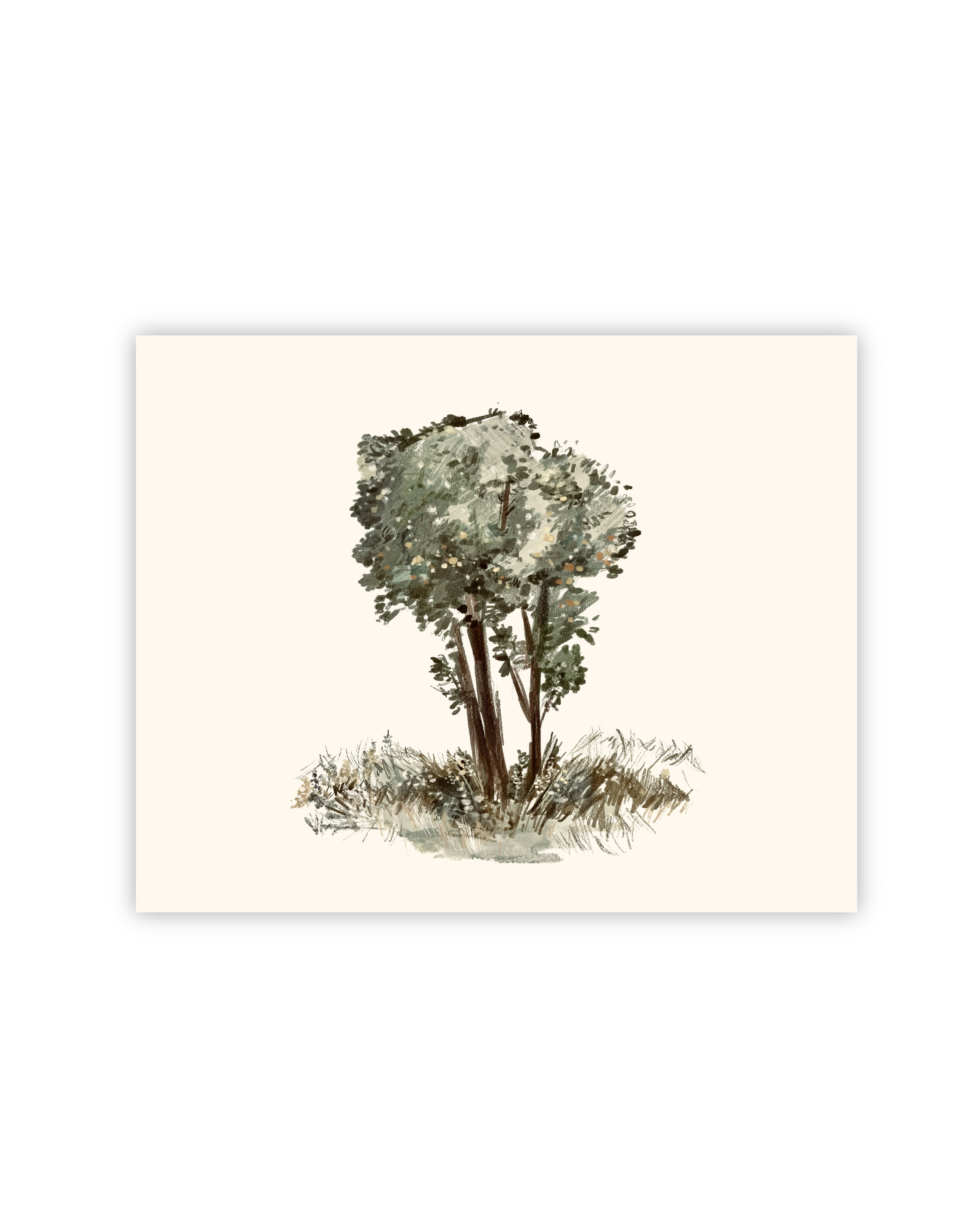 Rooted