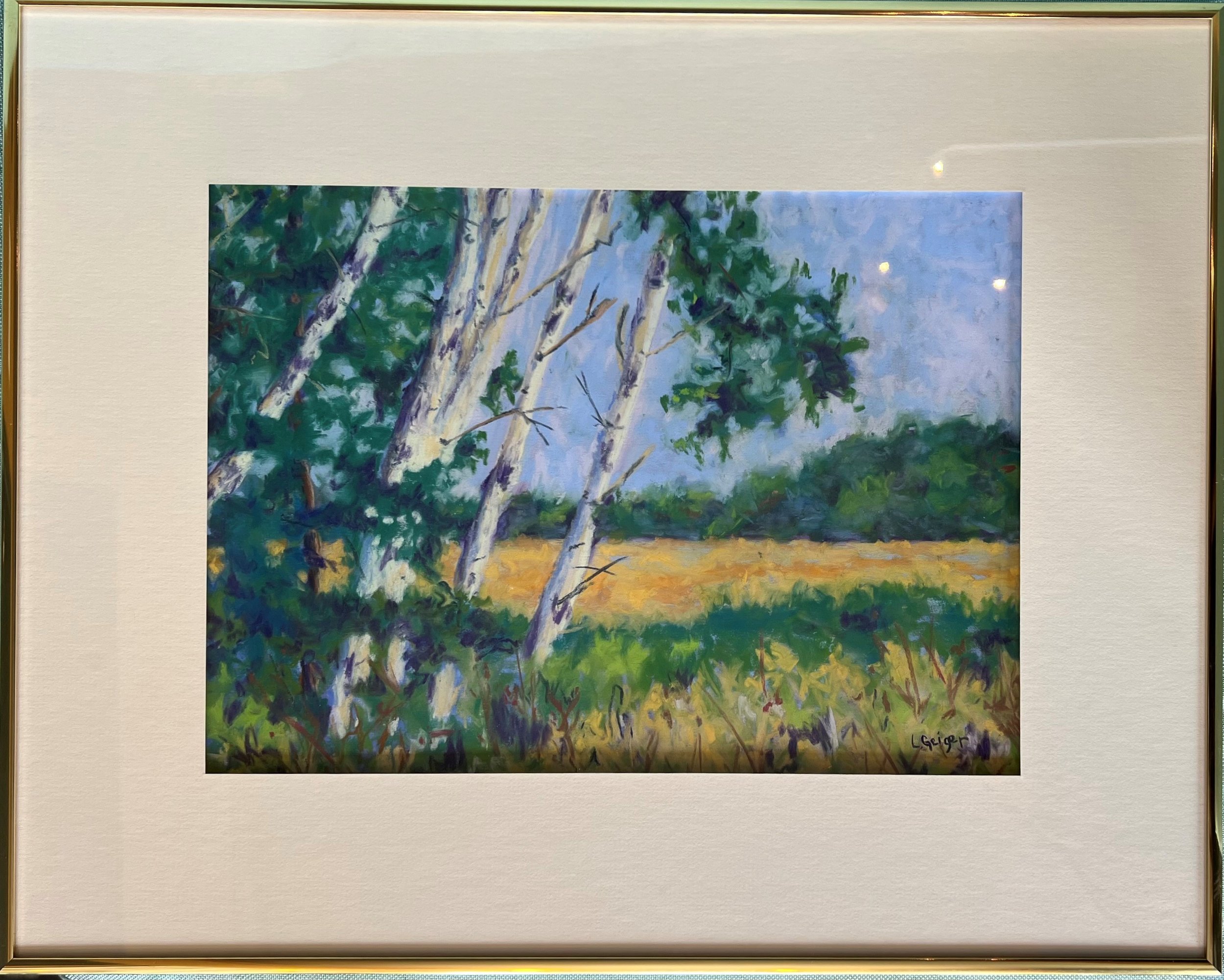 birch trees framed.jpg