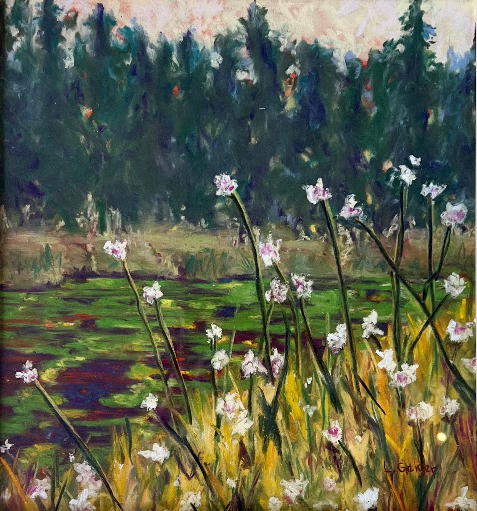 Lily Pads in the Marsh