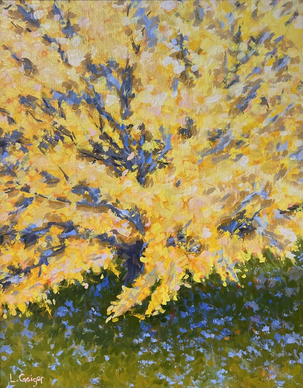 Forsythia and Bluebells