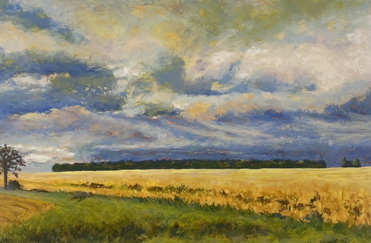 Golden Field Cropped.jpg
