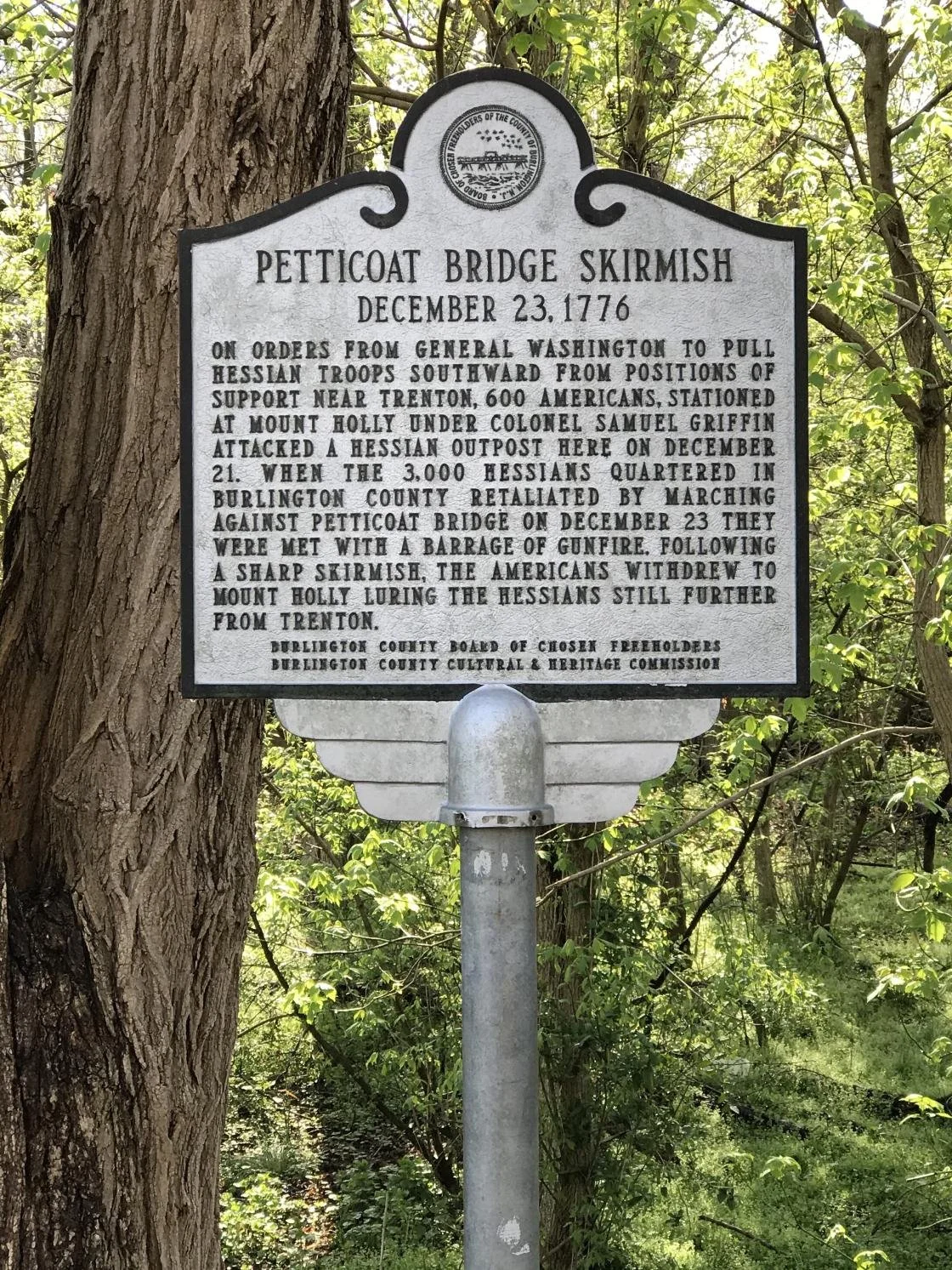 Battle of Petticoat Bridge