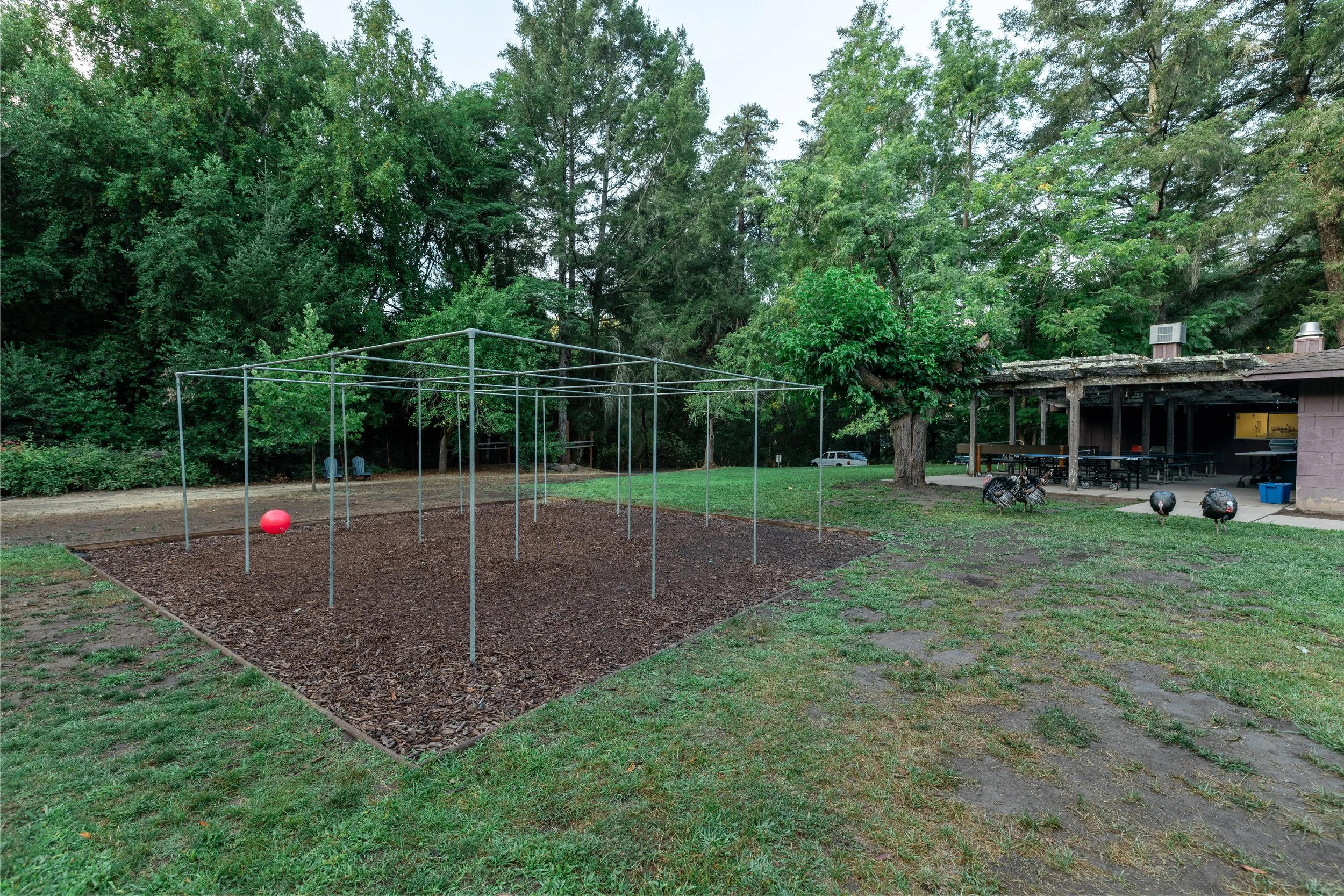 Nine square area on the lawn.