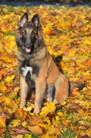 happy hour 6mnd.jfif