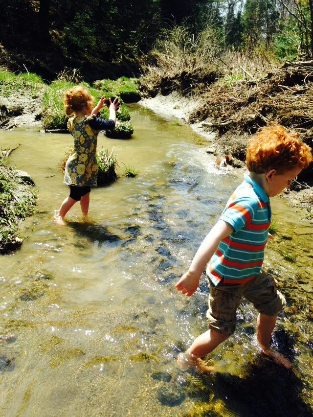 Dornbach kids in brook.jpg