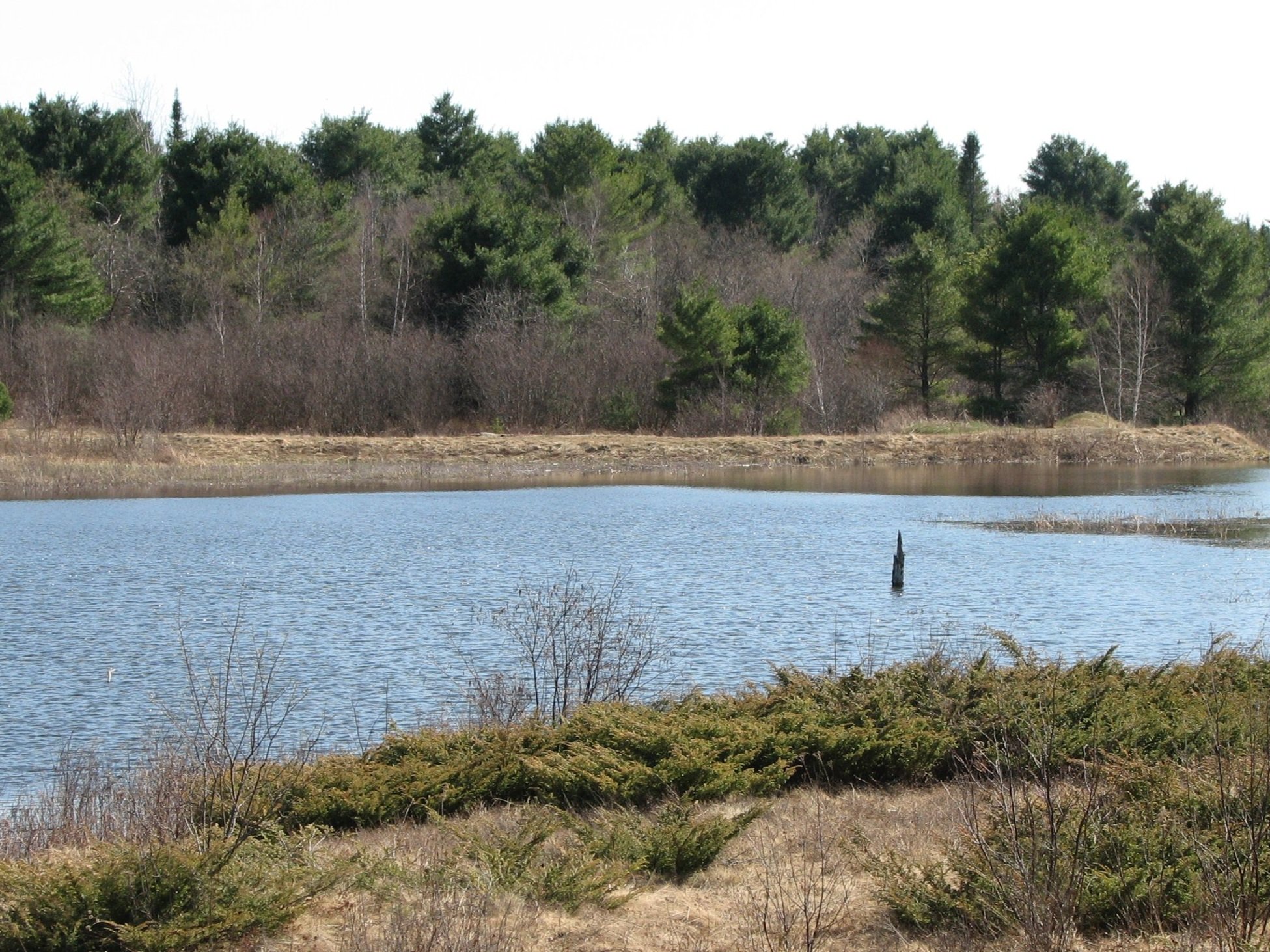 EarlySpringPond.jpg